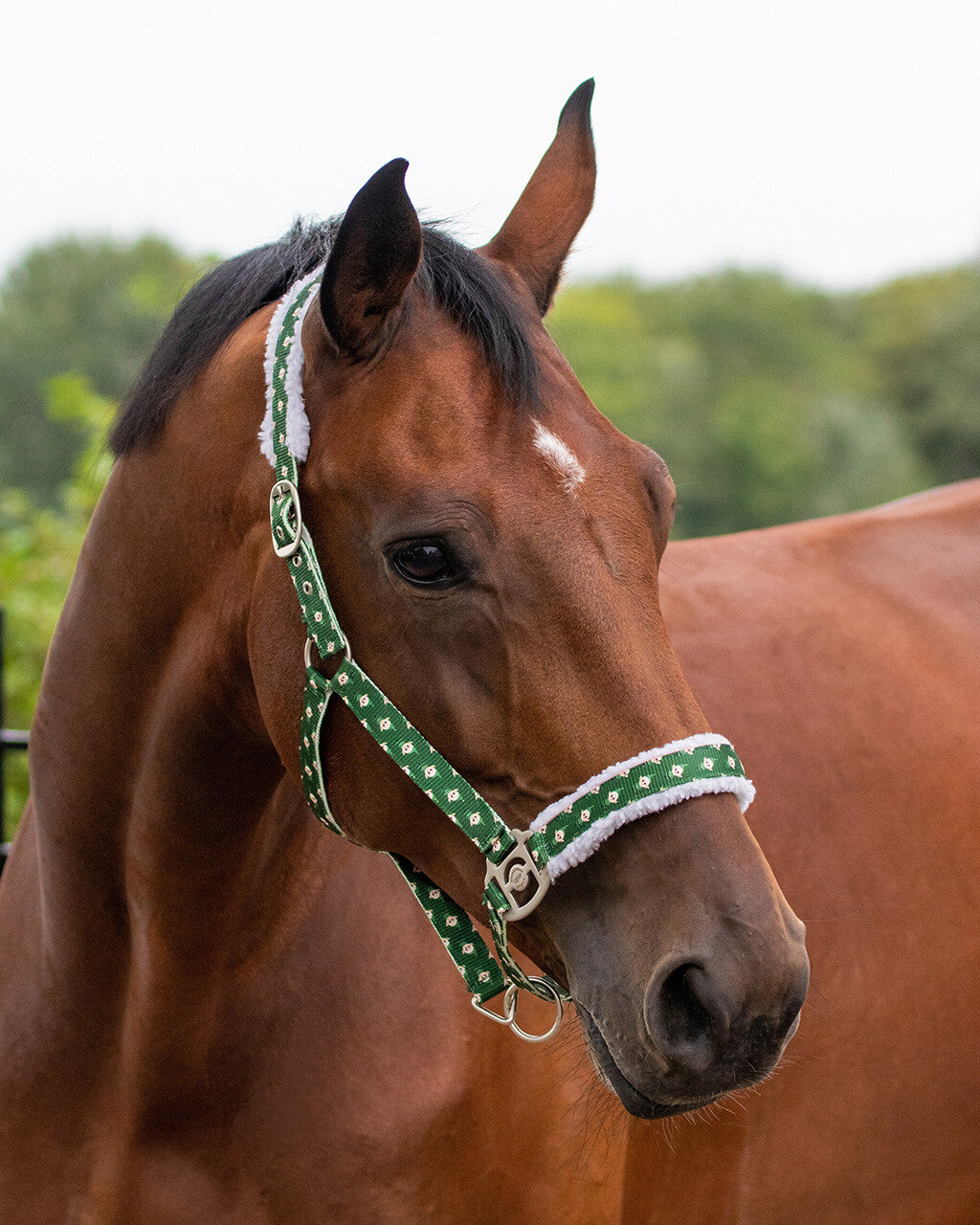 Head collar Christmas