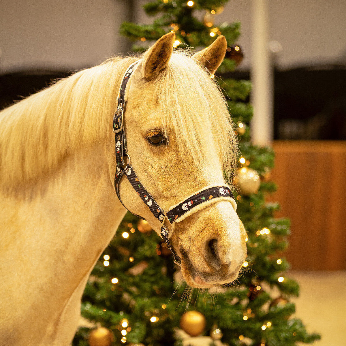 Head collar Christmas
