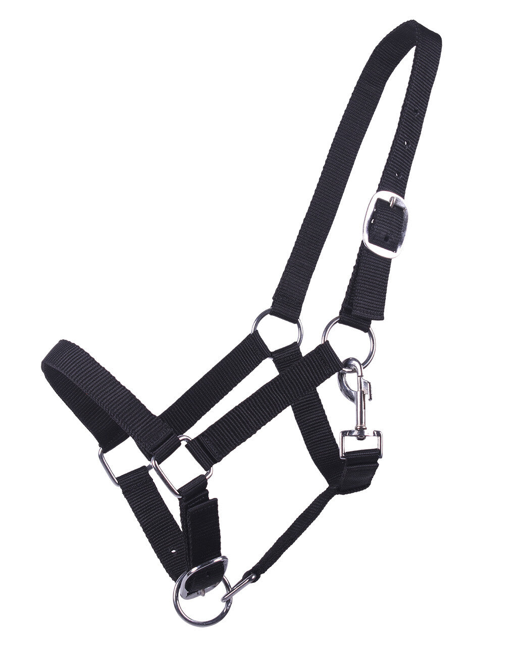 head collar yearling