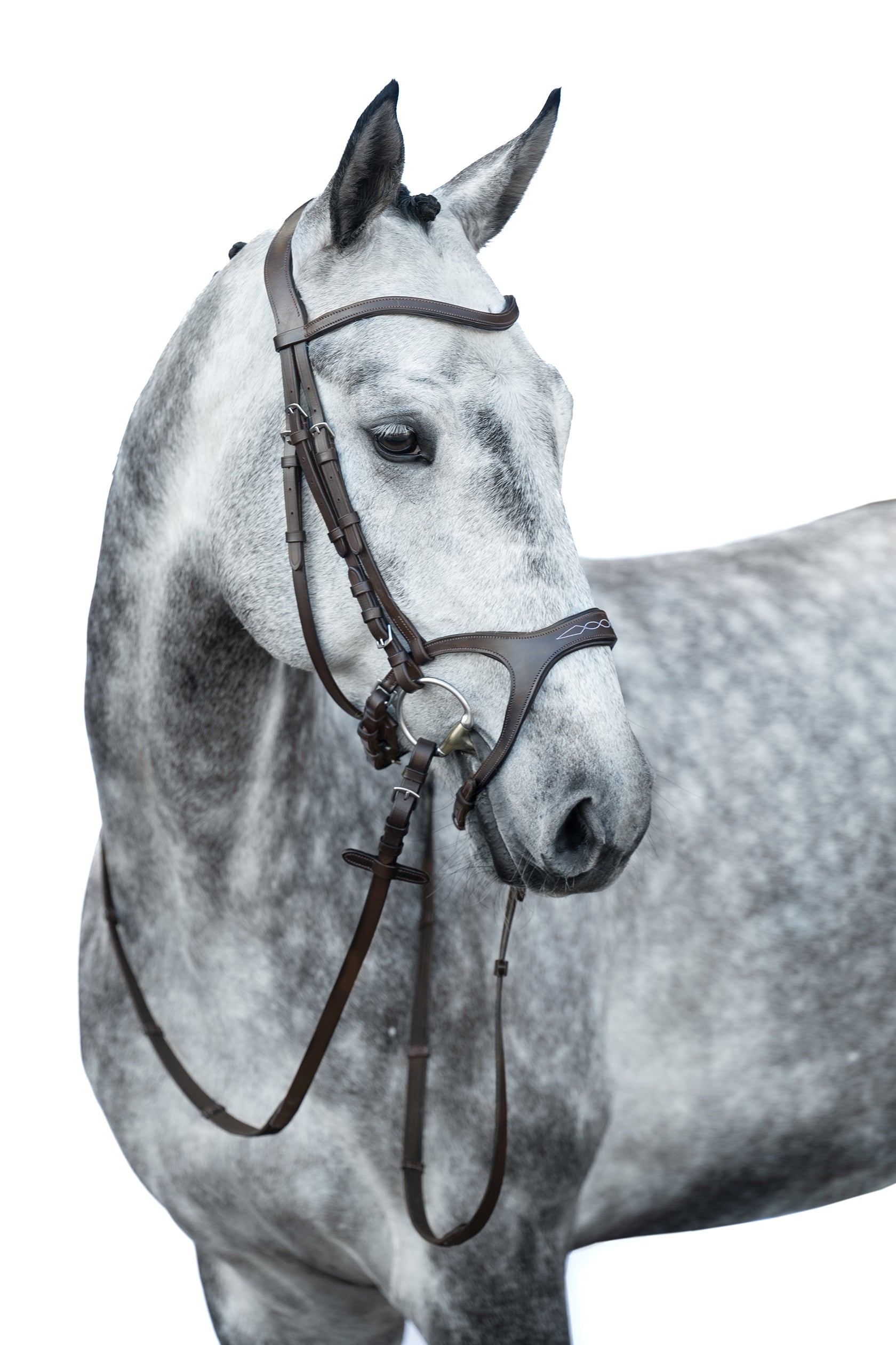 Bridle Anatomic Sports 2400 brown / Pony