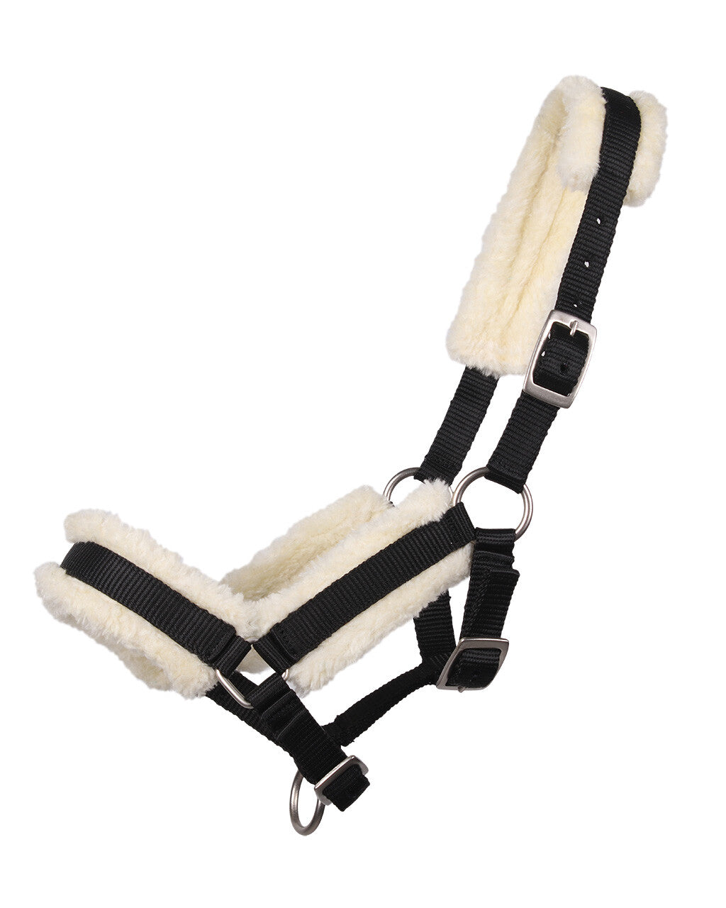 Head collar foal with fur