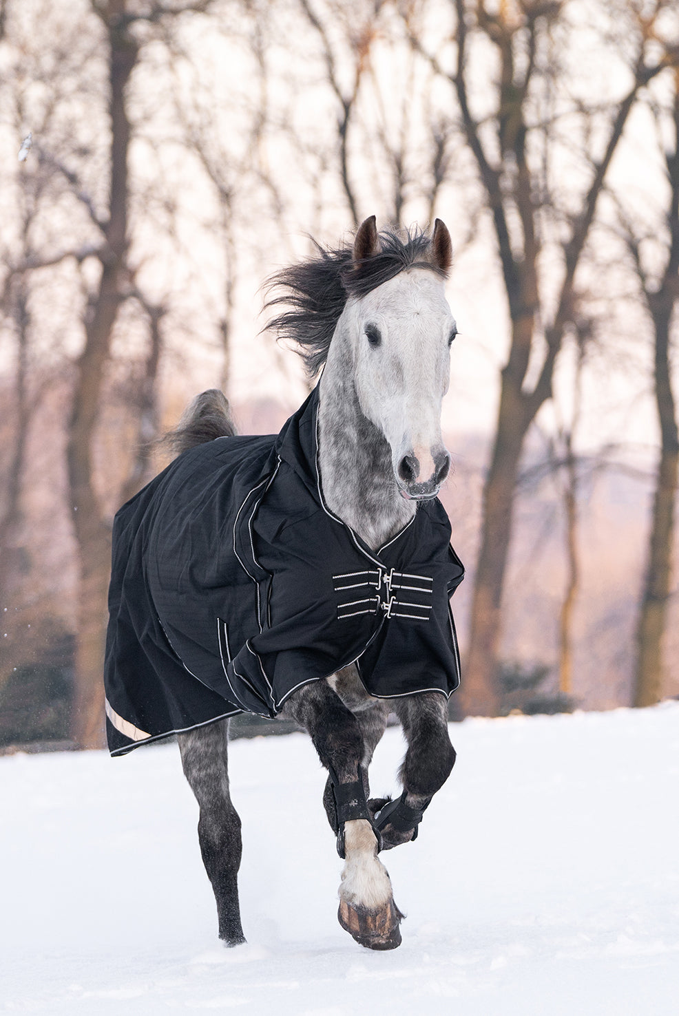 Highneck rug Innsbruck 1200D, fleece lining 9100 black / EU115/UK5'3/US63"