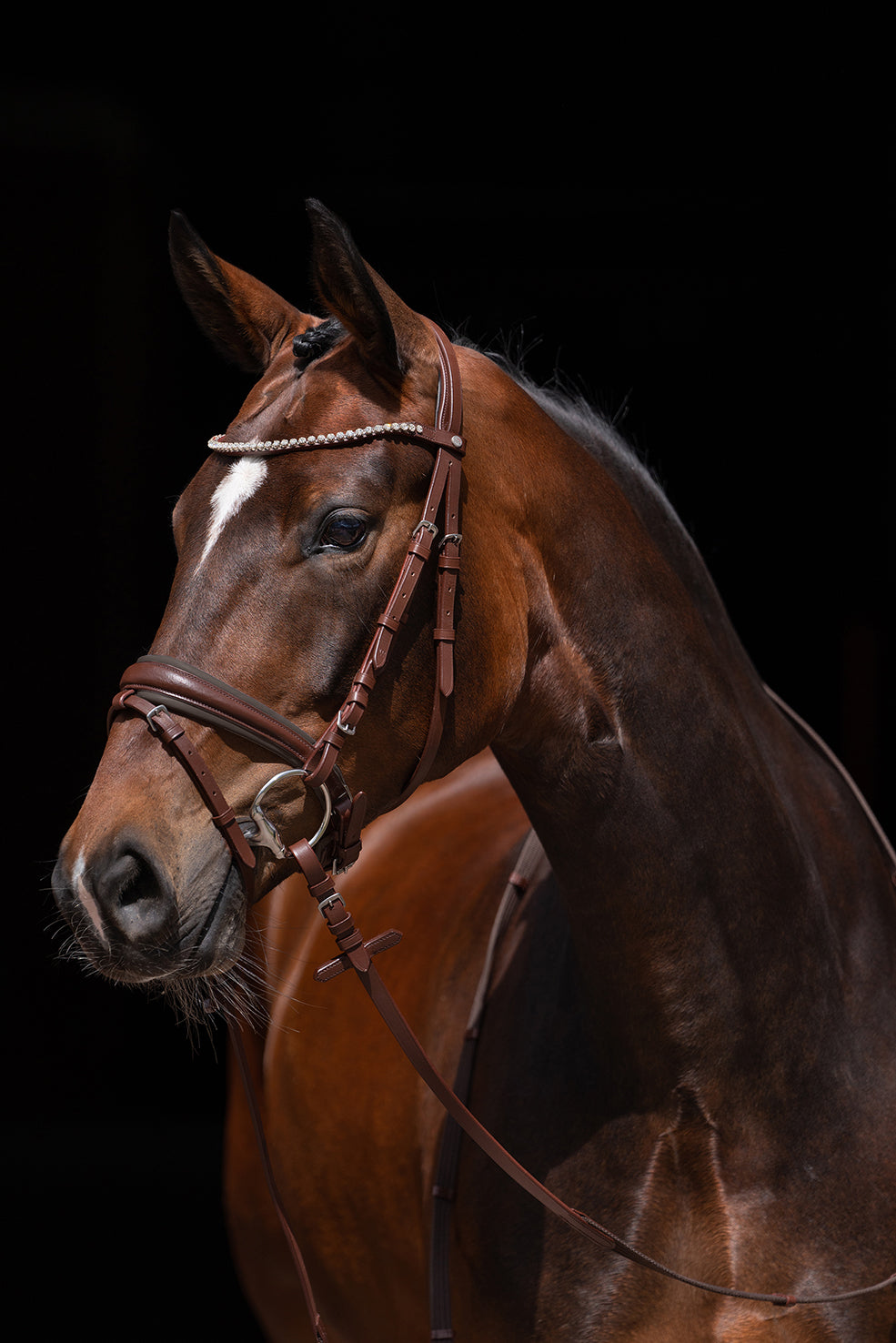Bridle Flora 2400 brown / Pony