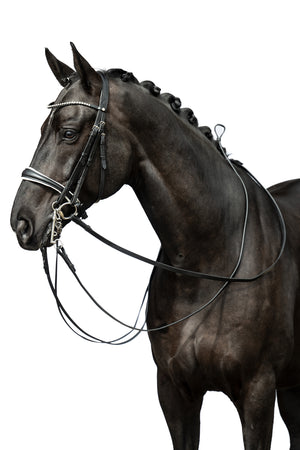 Double bridle Dina 9100 black / Pony