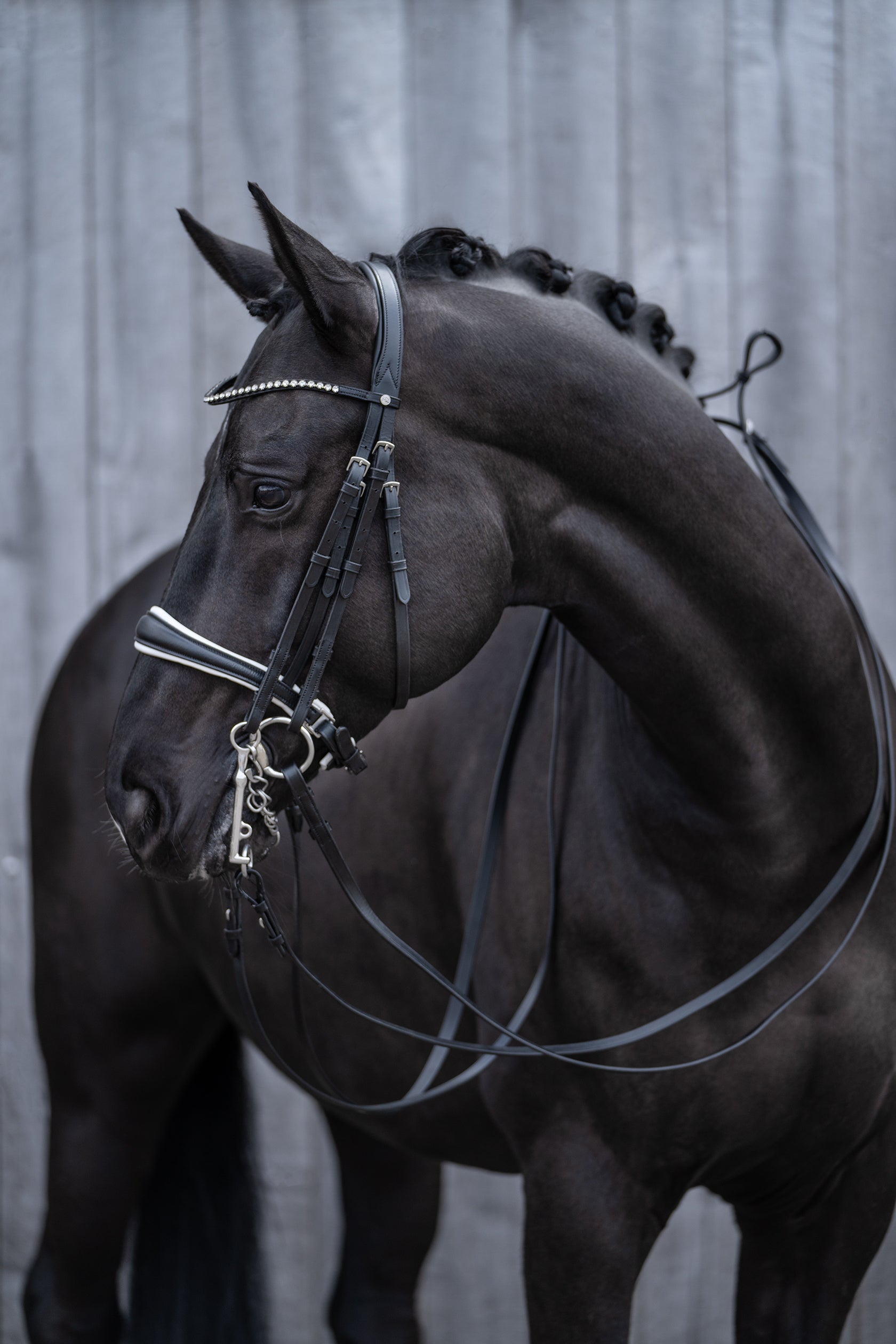 Double bridle Dina 9100 black / Pony