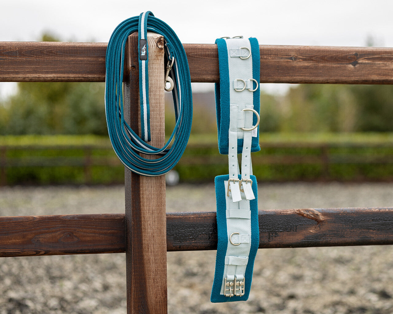 Lunging girth Thunderbolt