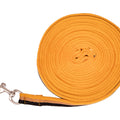 Lunging line collection