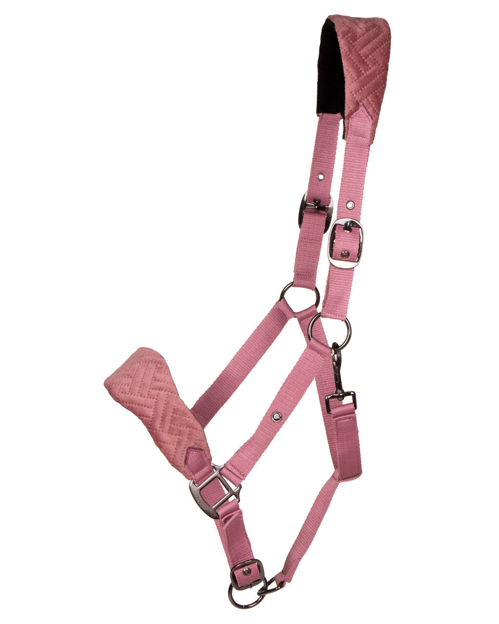 head collar summer glow