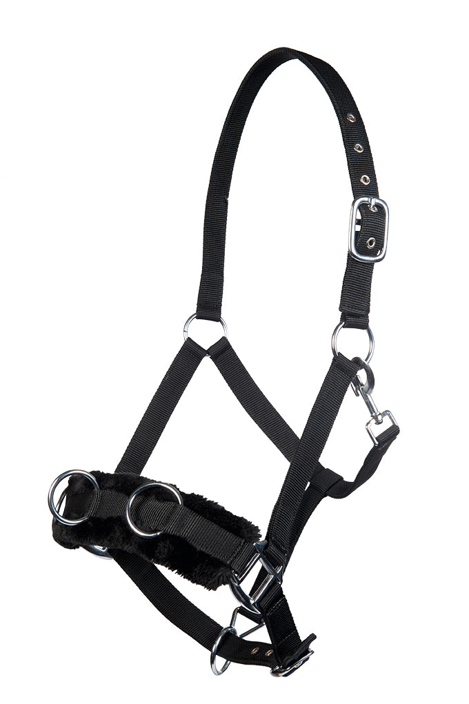Lunge cavesson with plush padding 9100 black / Pony
