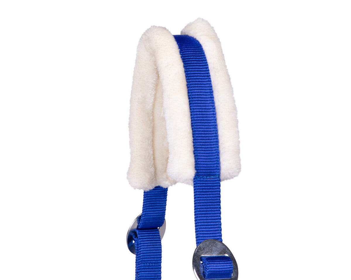Head collar Cali draft horse