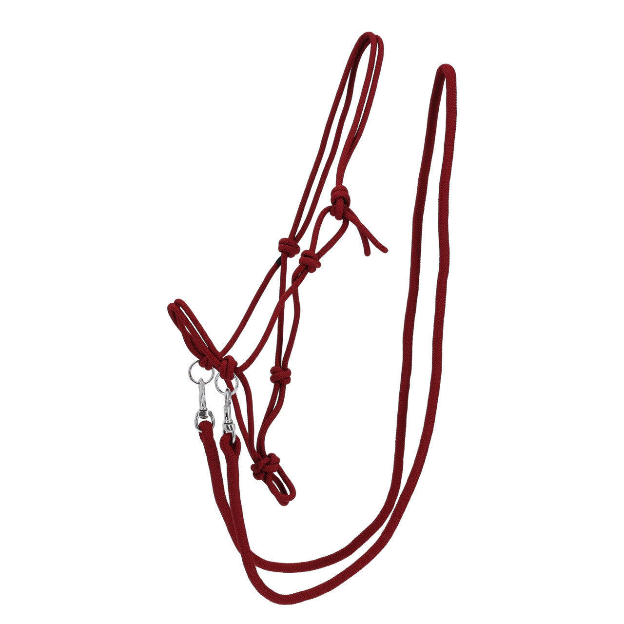 Rope halter Color with rein