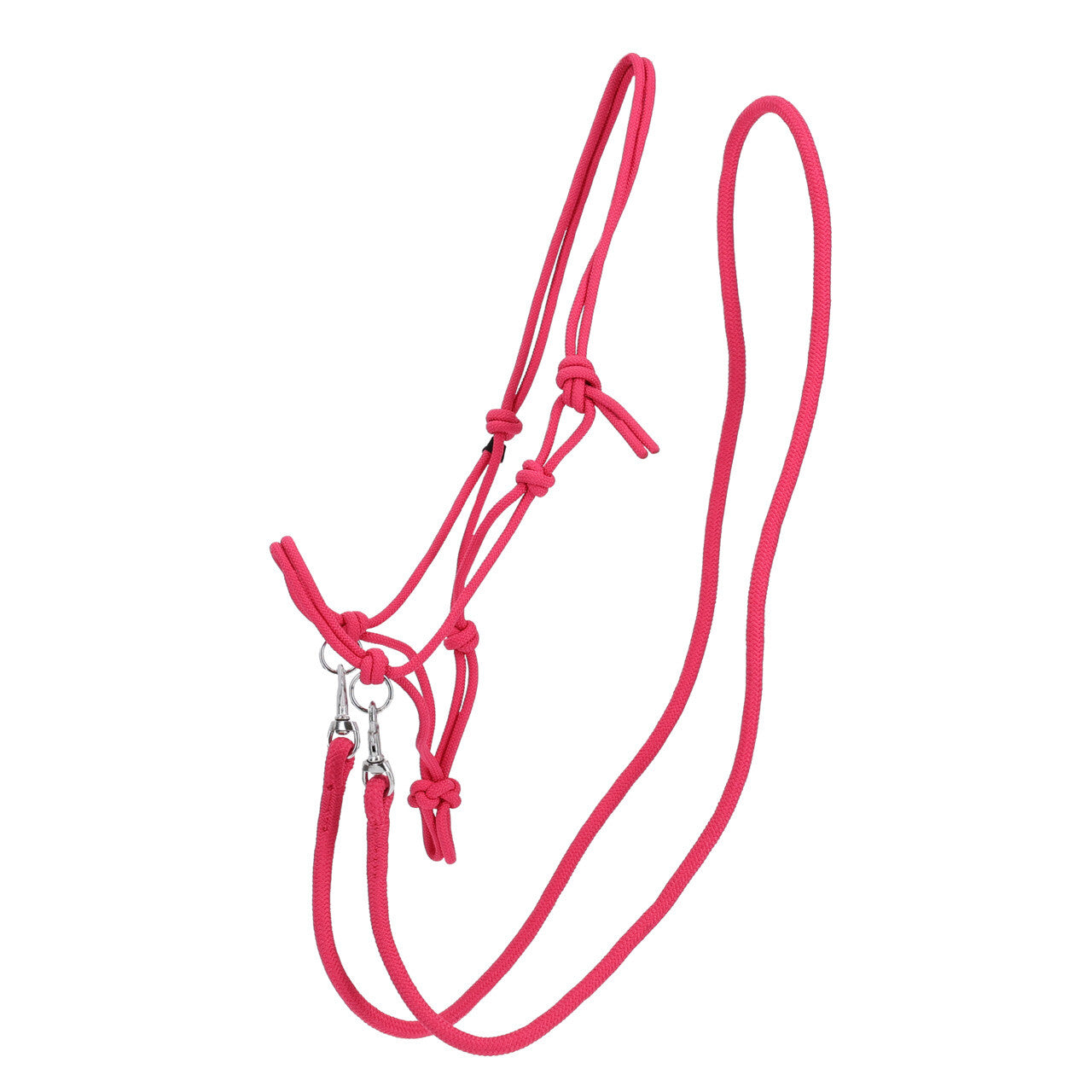 Rope halter Color with rein