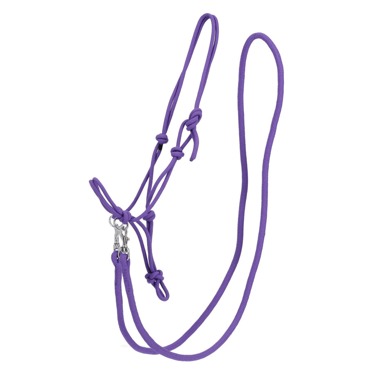 Rope halter Color with rein