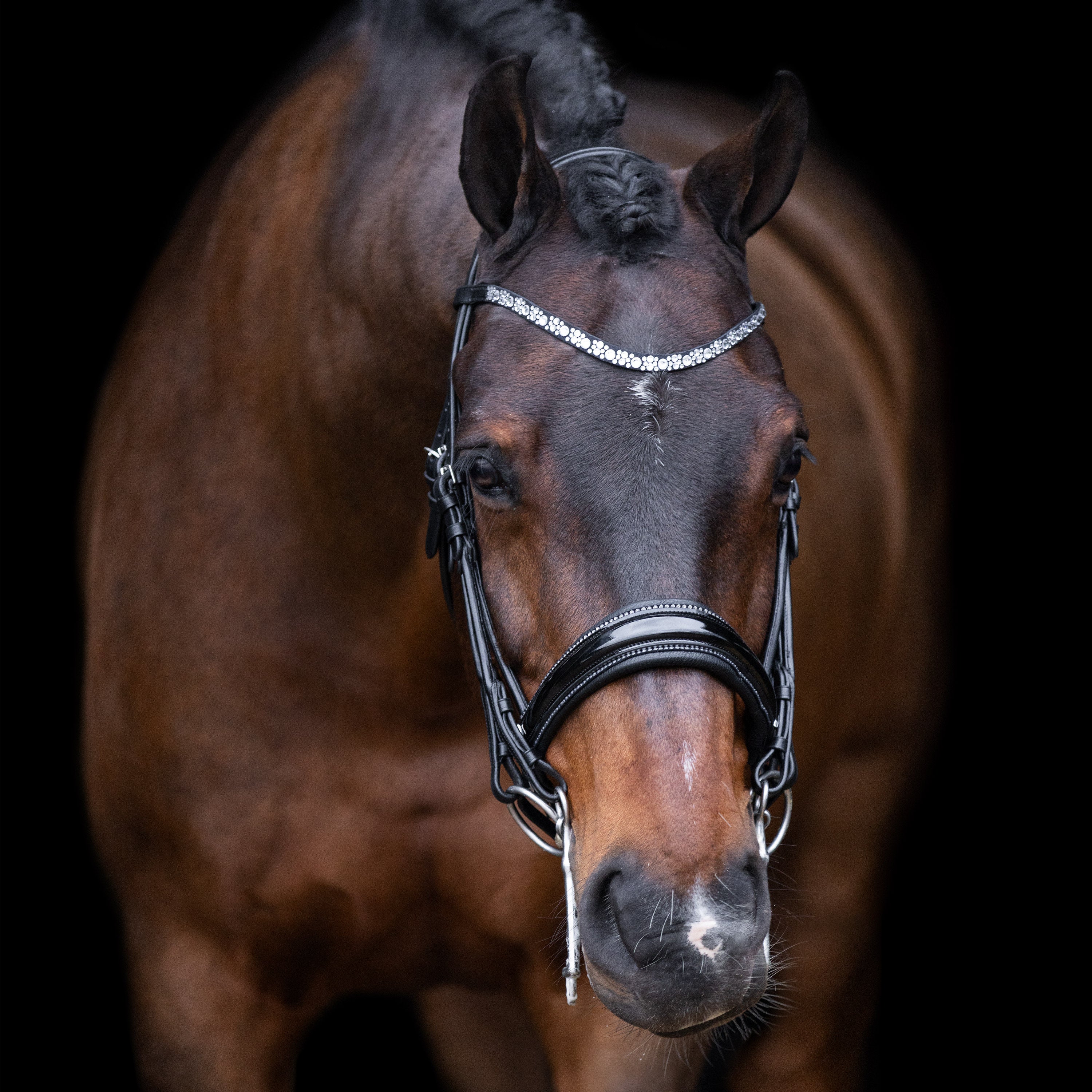 Weymouth bridle IRHOlympia