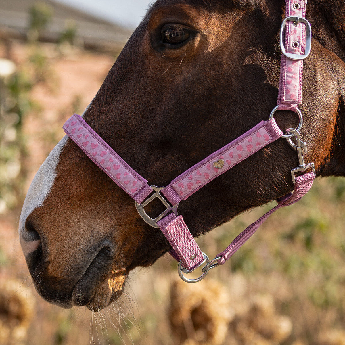 Head collar Lyvia