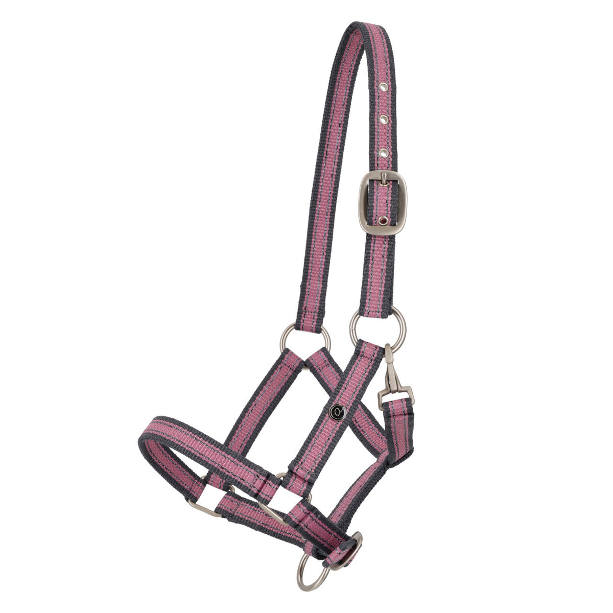 Head collar foal collection