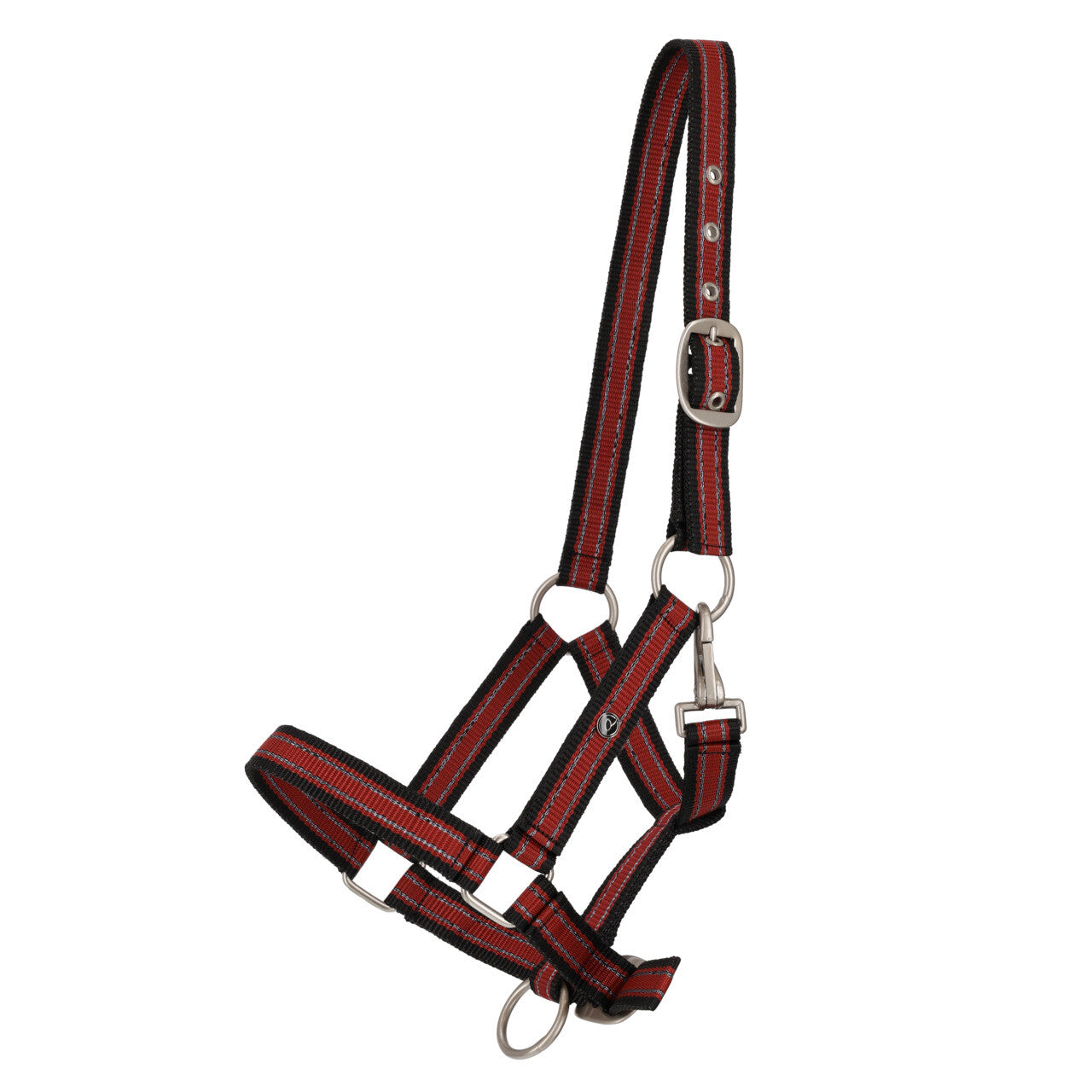Head collar yearling collection