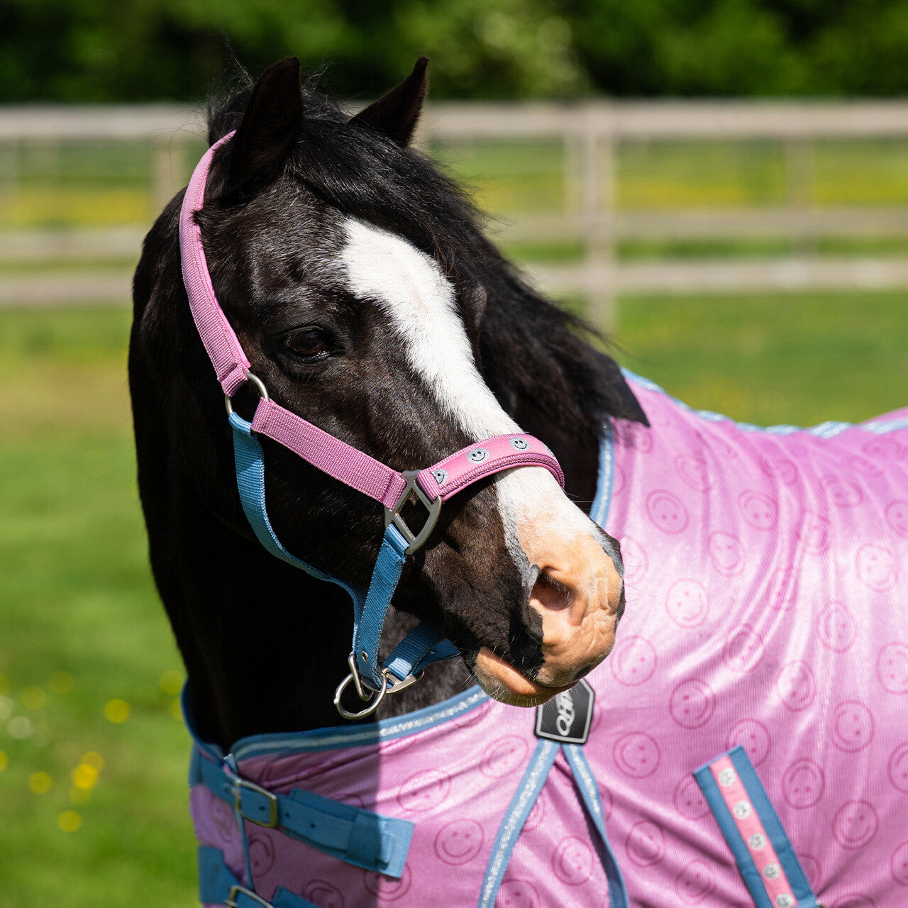 Head collar Rosalynn