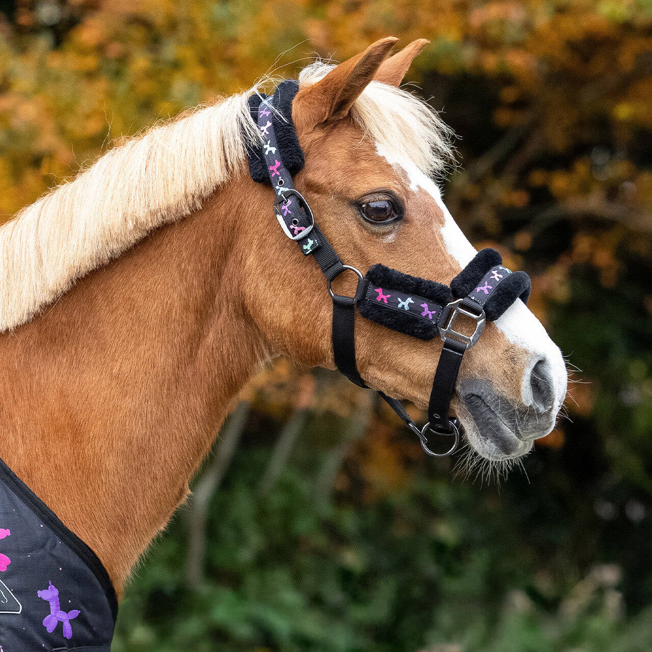 Head collar set Isalyn