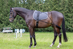 Training aid 9100 black / Cob/Full