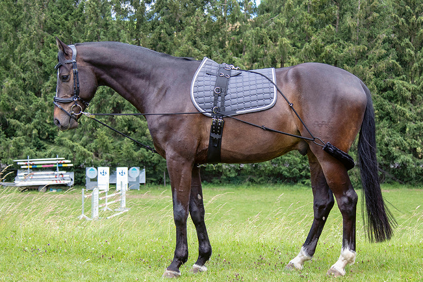 Training aid 9100 black / Cob/Full