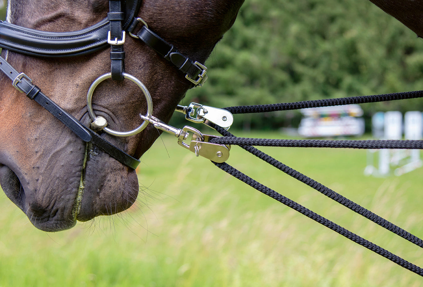 Training aid 9100 black / Cob/Full