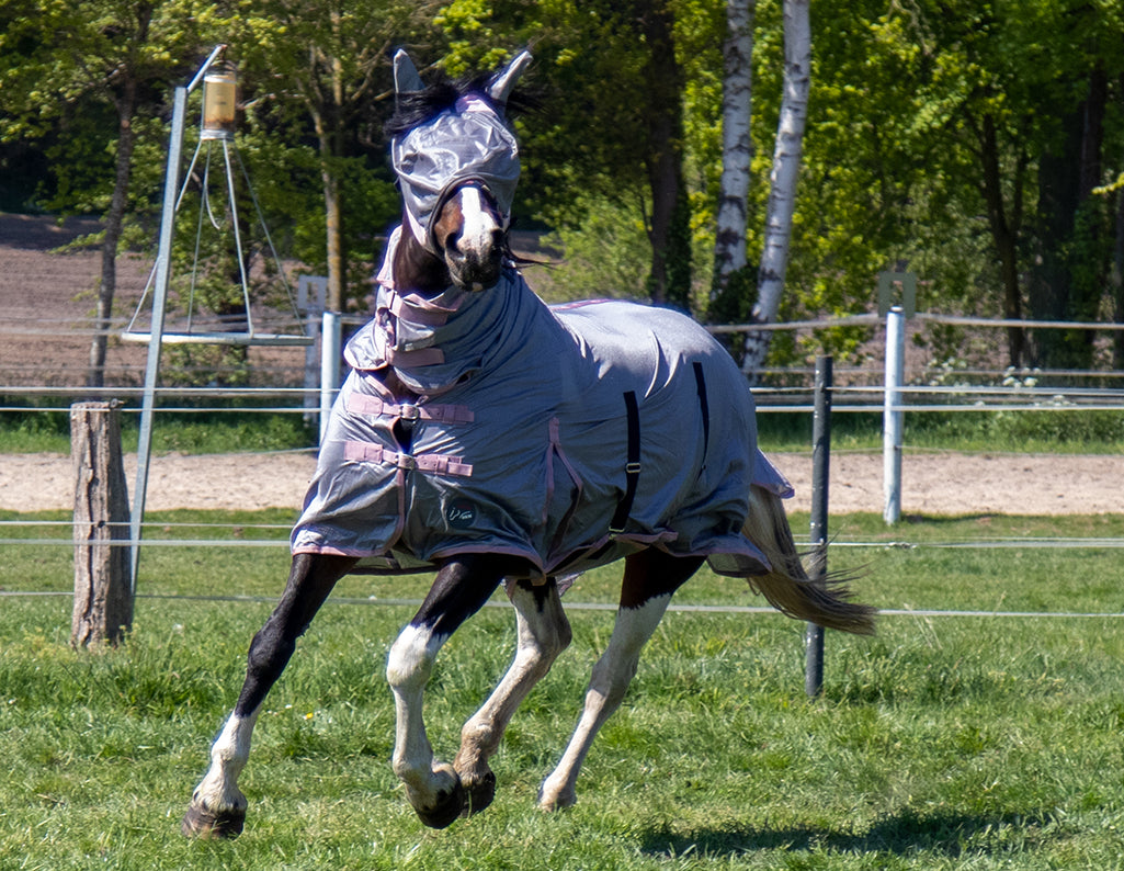 Fly rug with neck Grey 9500 grey / EU115/UK5'3/US63"