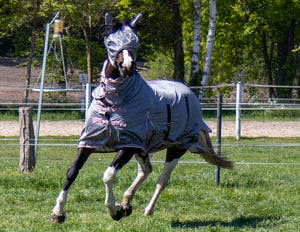 Fly rug with neck Grey 9500 grey / EU115/UK5'3/US63"