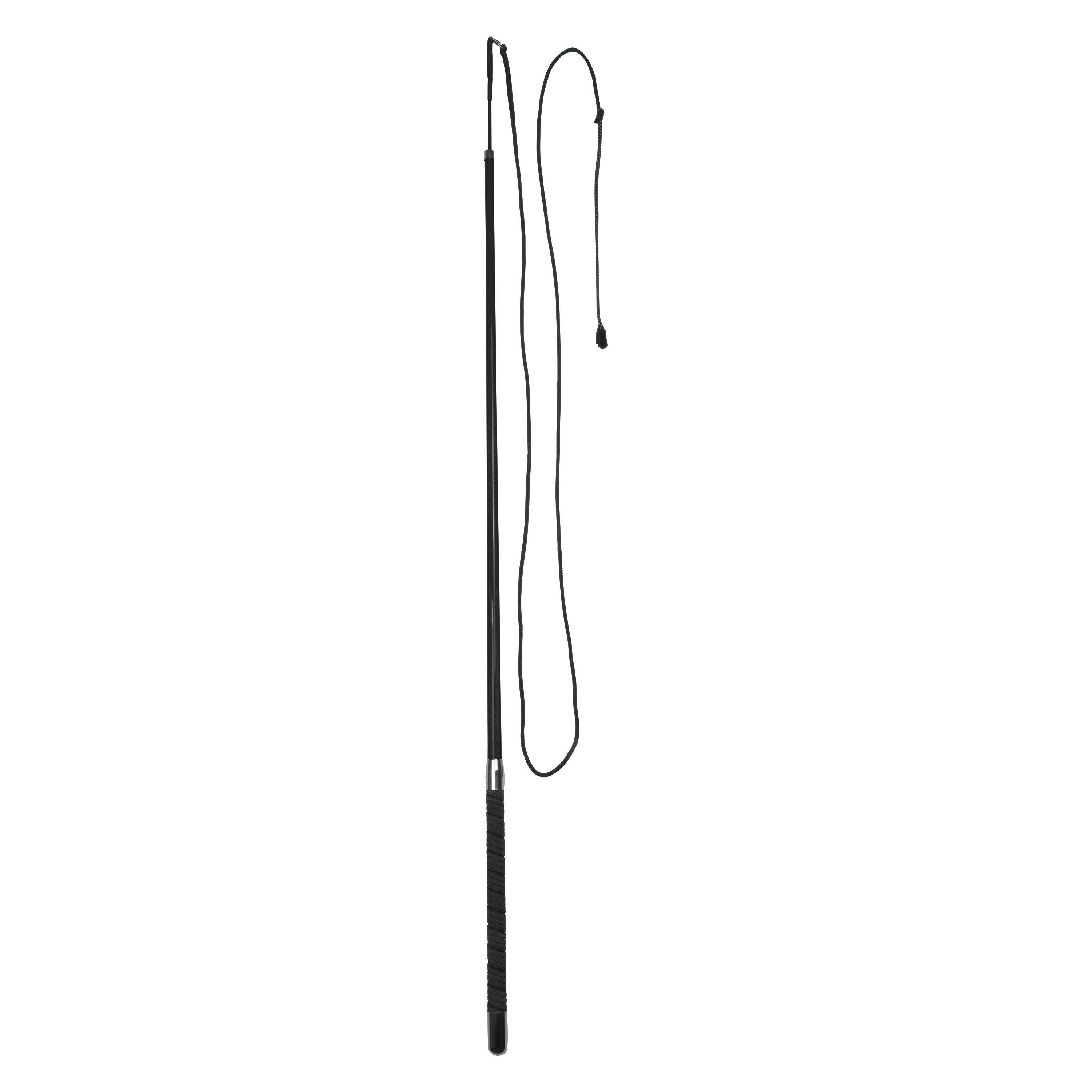 Lunging whip Carbon IRH