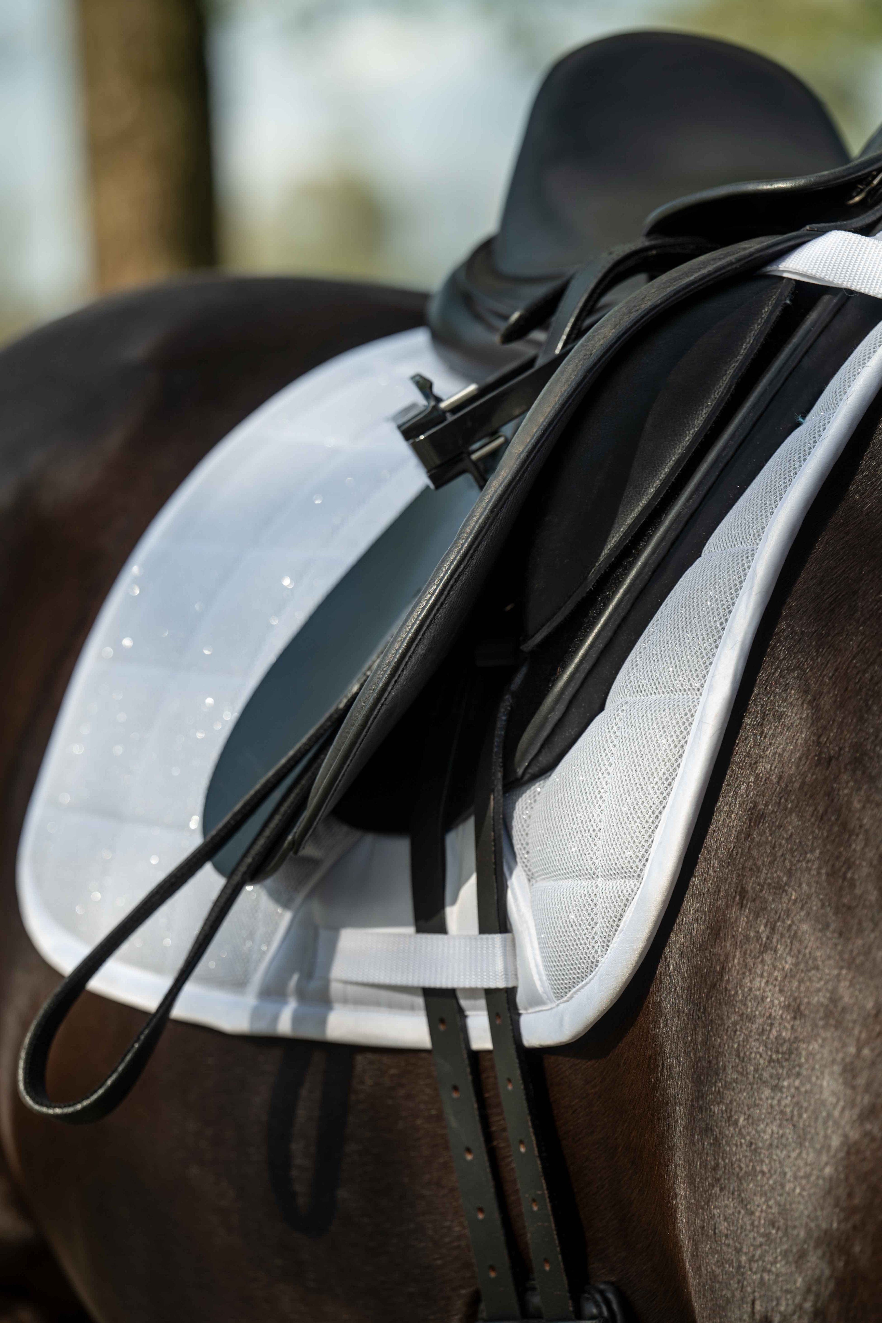 Saddle cloth Glitter Mesh Style 1200 white / General purpose