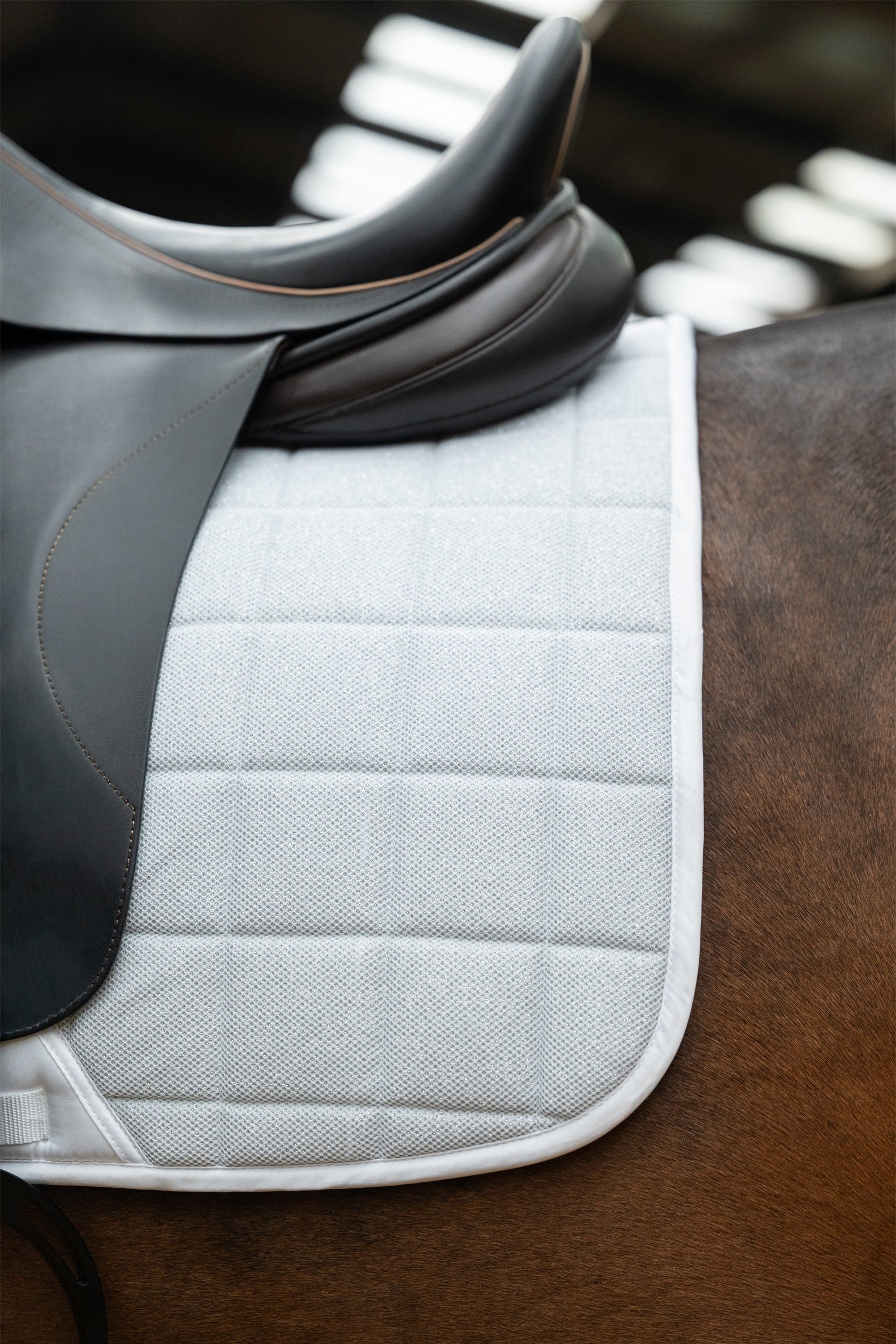 Saddle cloth Glitter Mesh Style 1200 white / General purpose