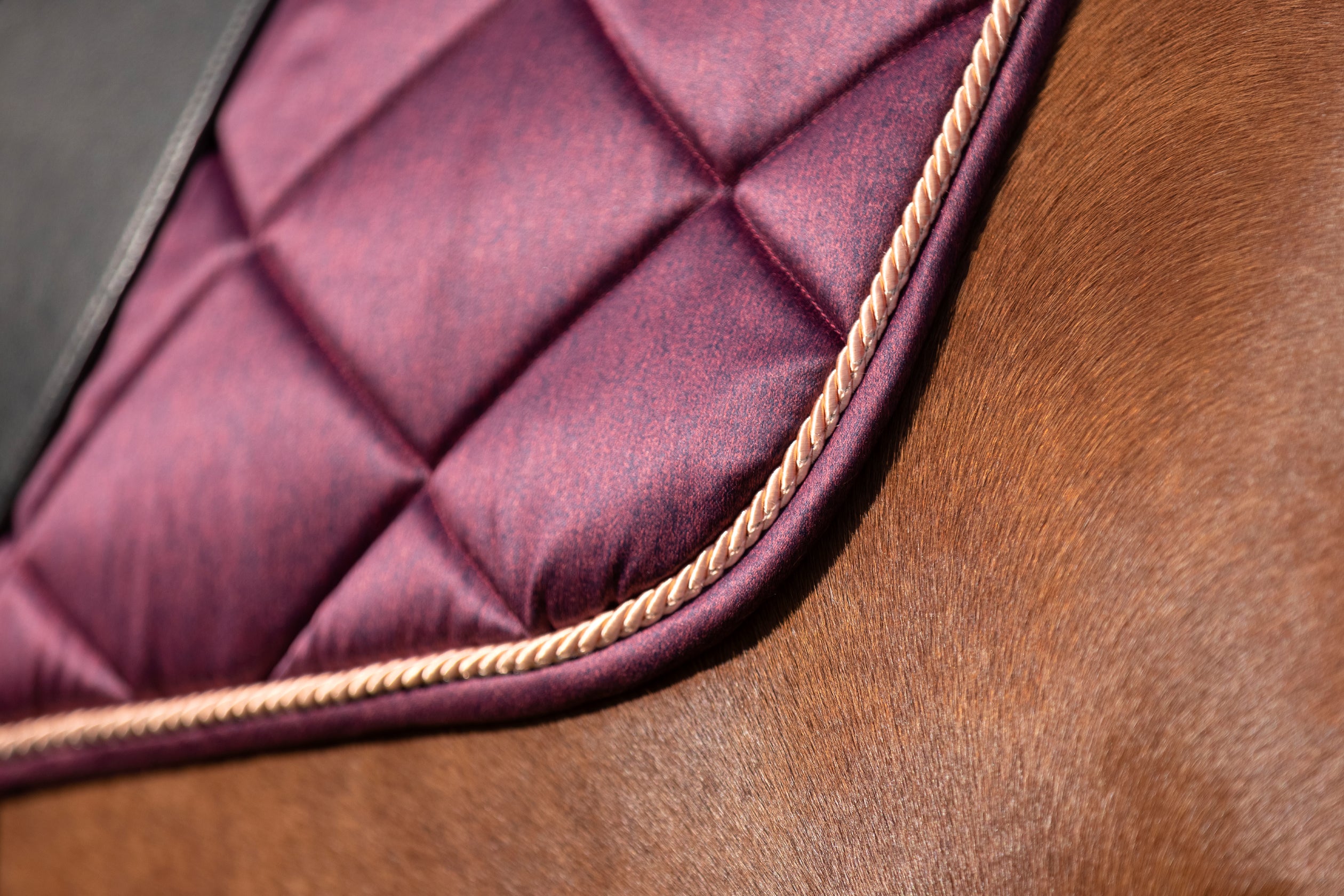 Saddle cloth Aria 3100 wine red / General purpose