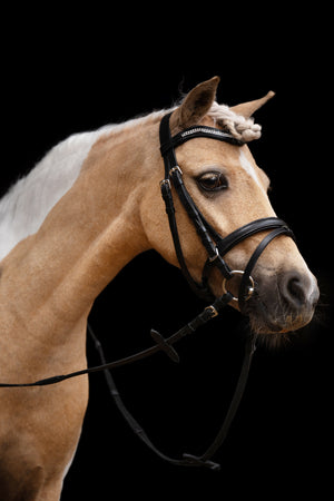 Bridle Little Star 9100 black / Pony