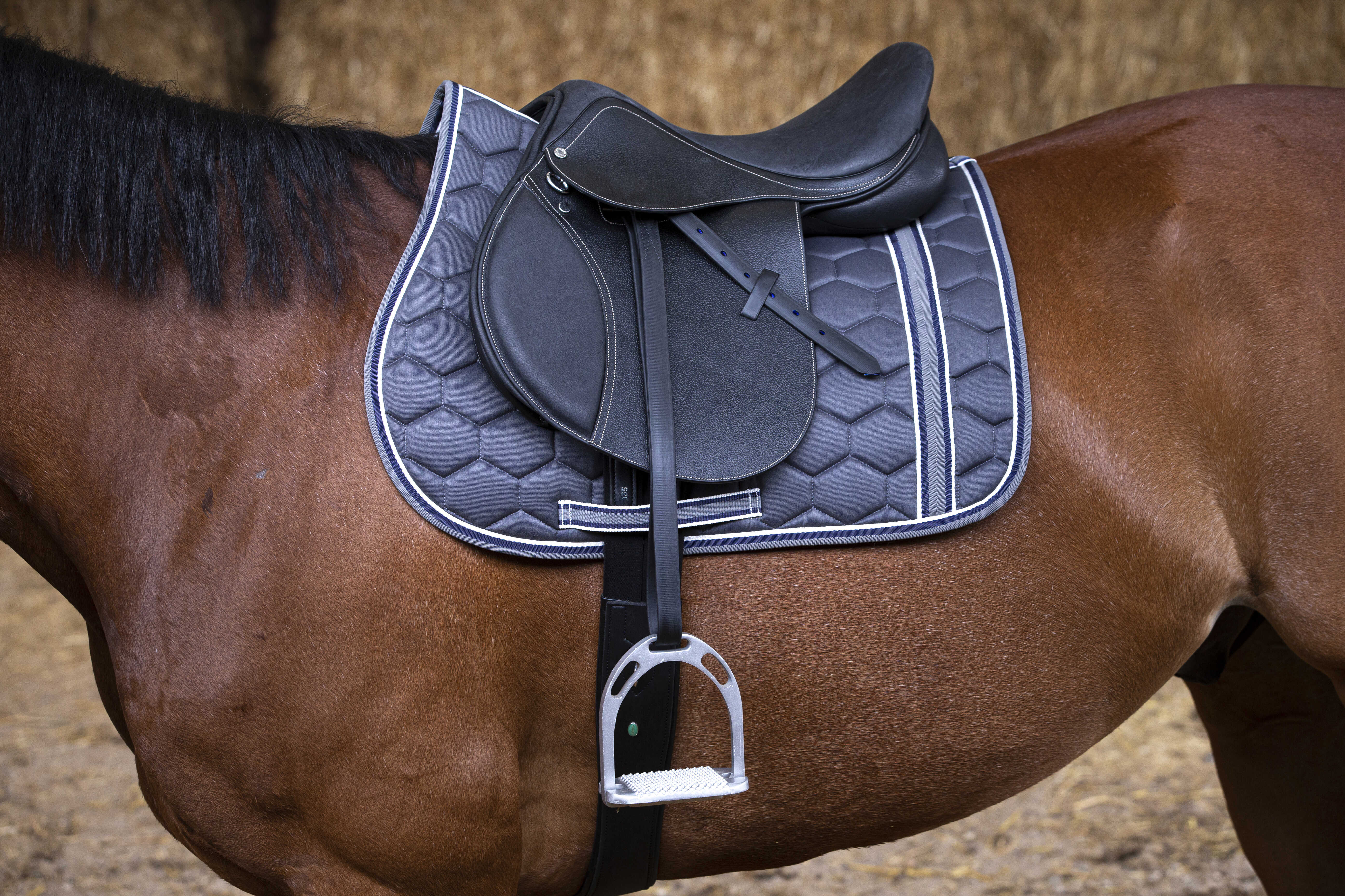 ERIC THOMAS FITTER Jumping saddle - Grained leather