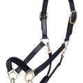 Leather head collar Gold 9100 black / Pony