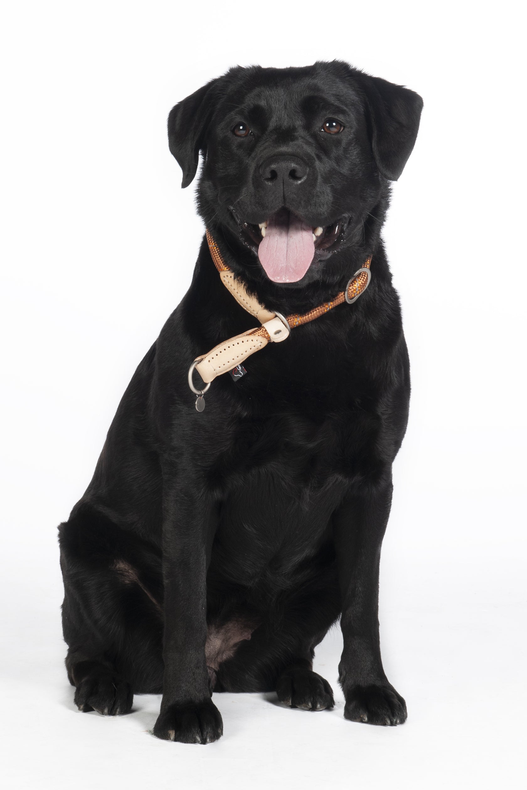 Dogs training collar Anam Cara rope 1000 brandy / S: 1,2 cm