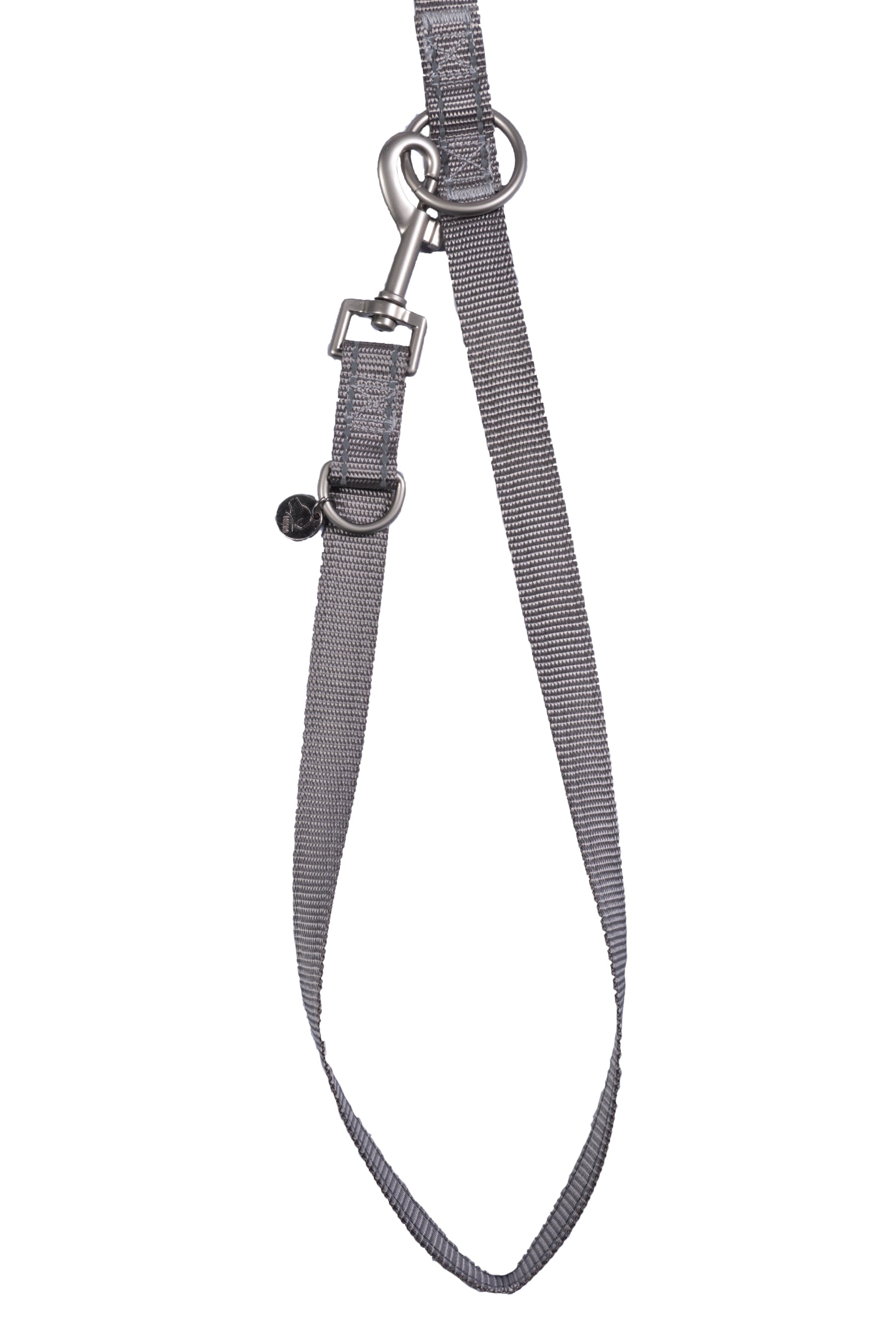 Dogs trainings leash Anam Cara nylon 2900 taupe / S