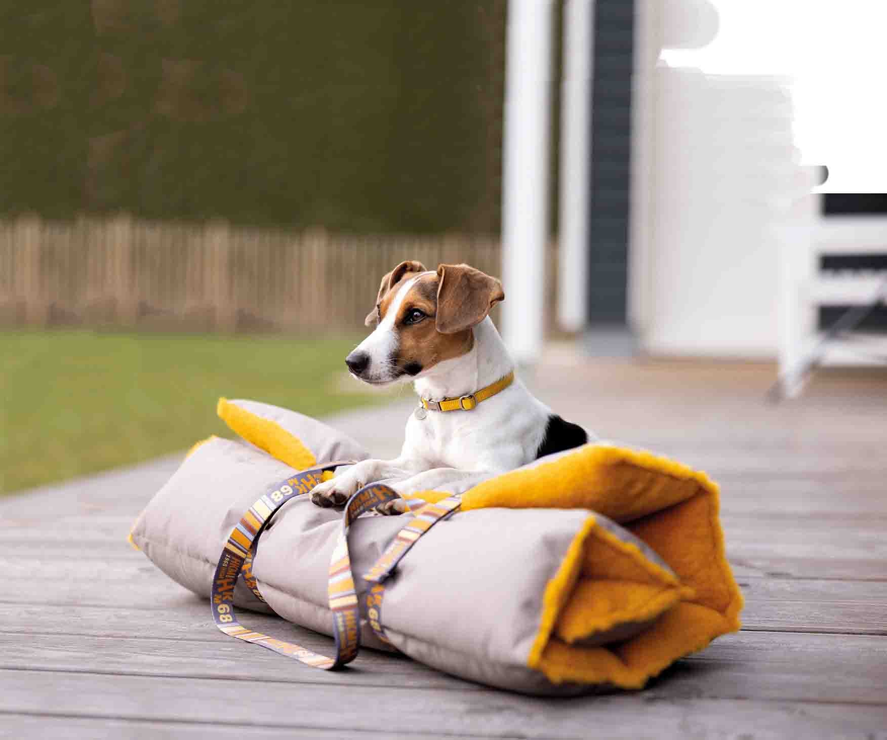 Dog blanket Anam Cara Travel 2900 taupe / L