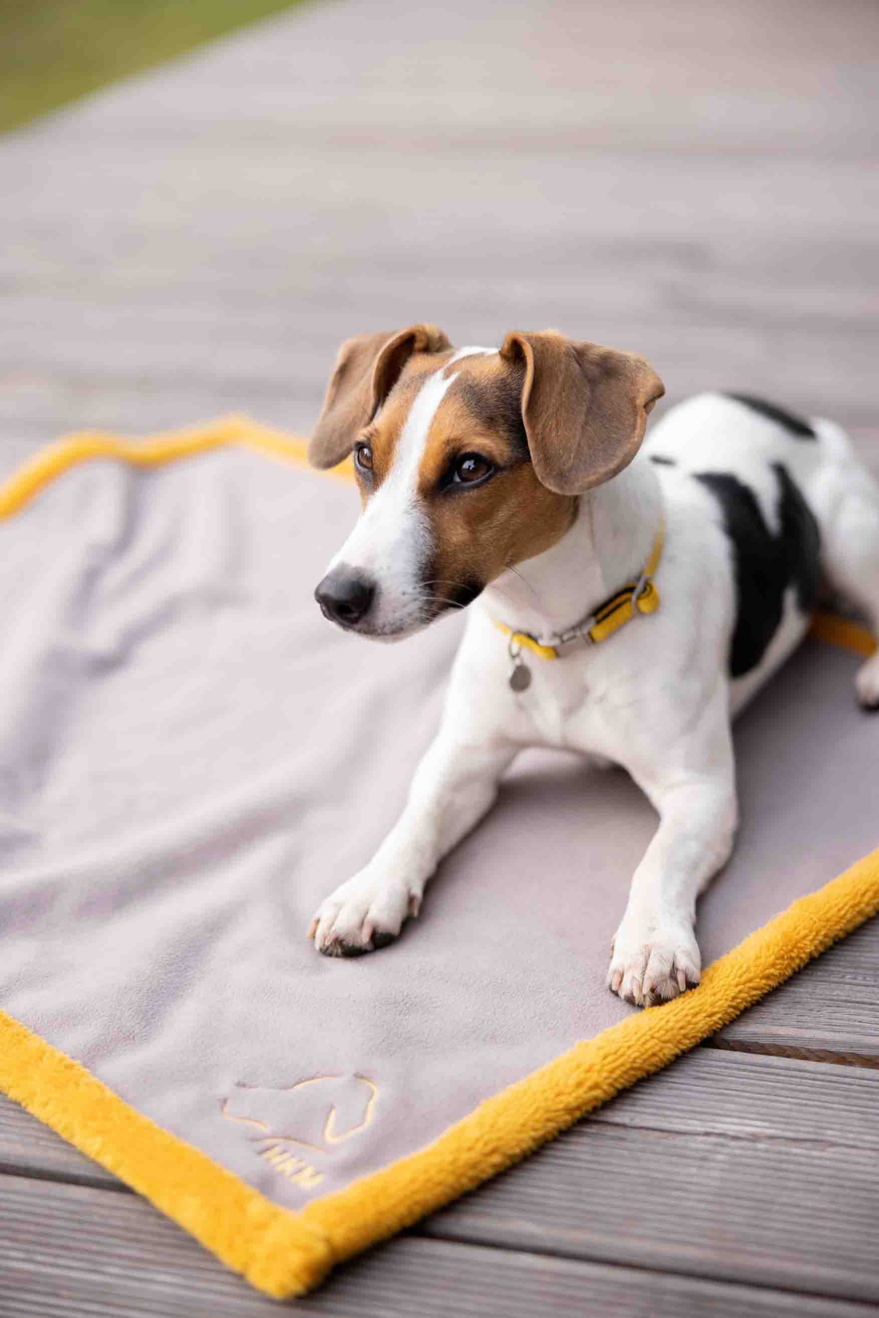 Dog reversible blanket Anam Cara 2941 taupe/yellow gold / M: 80 x 60 cm