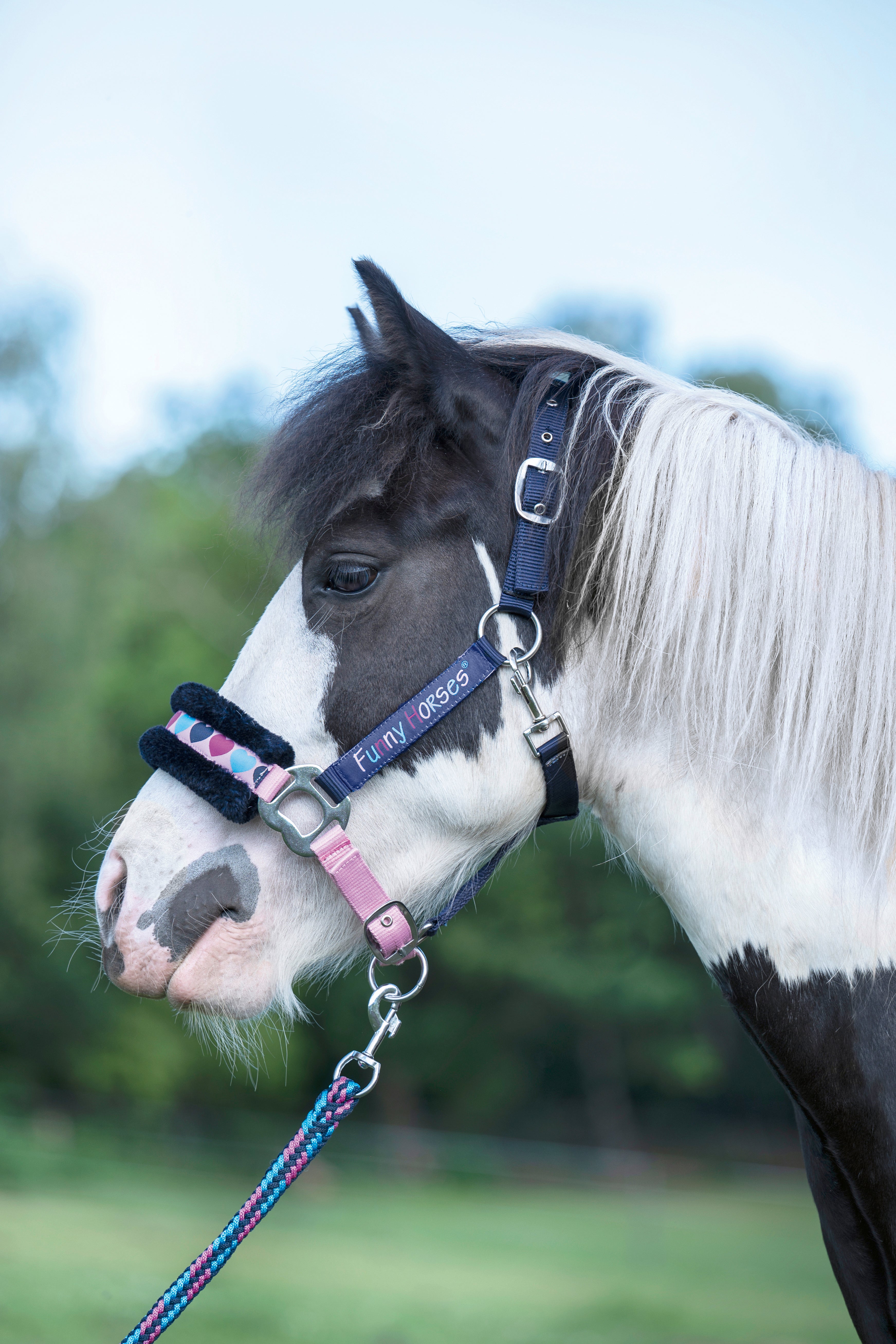 Head collar Funny Horses Hearts 6900 deep blue / Shetland pony