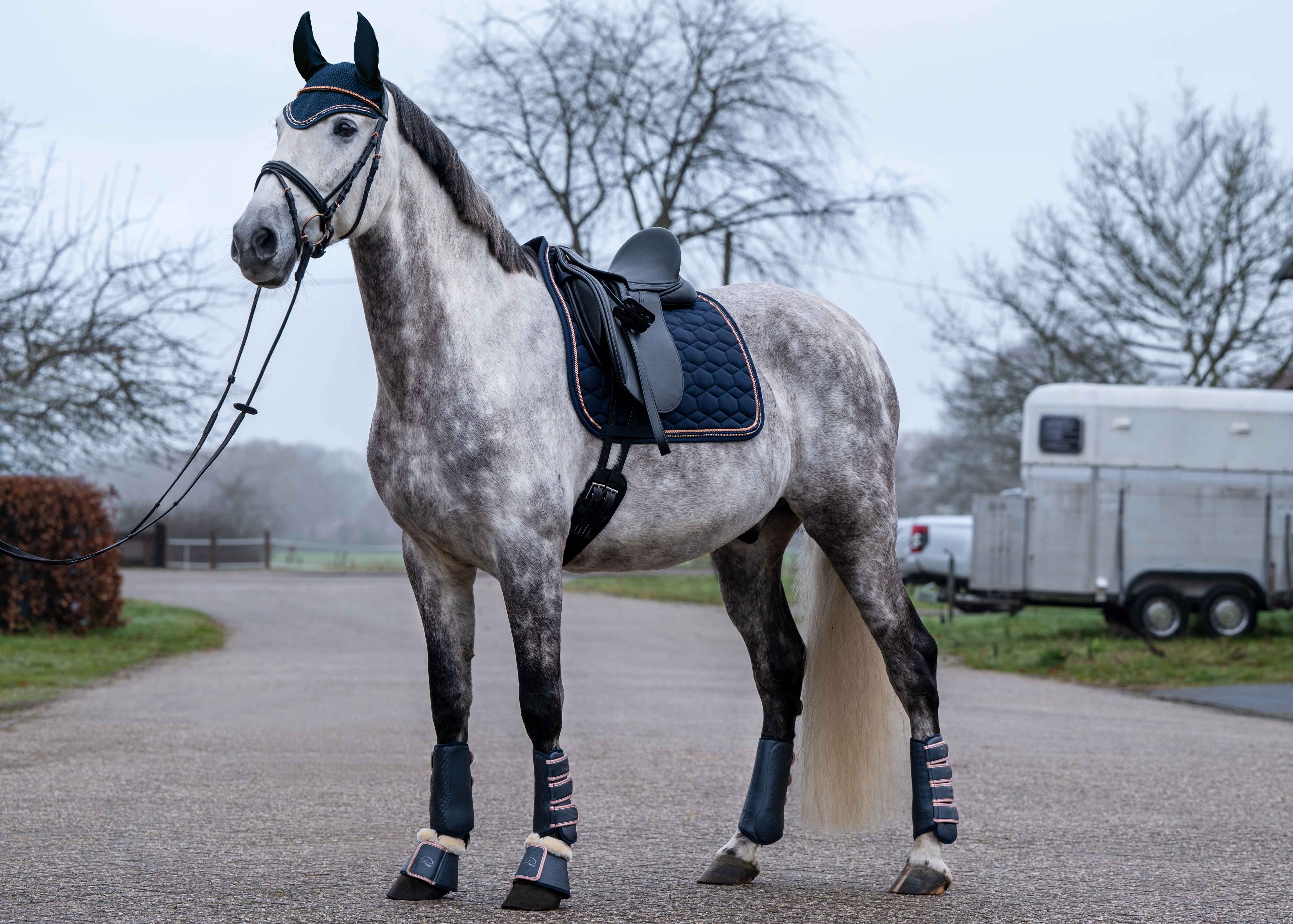 Overreach boots Rosegold Glamour Style 6900 deep blue / Pony