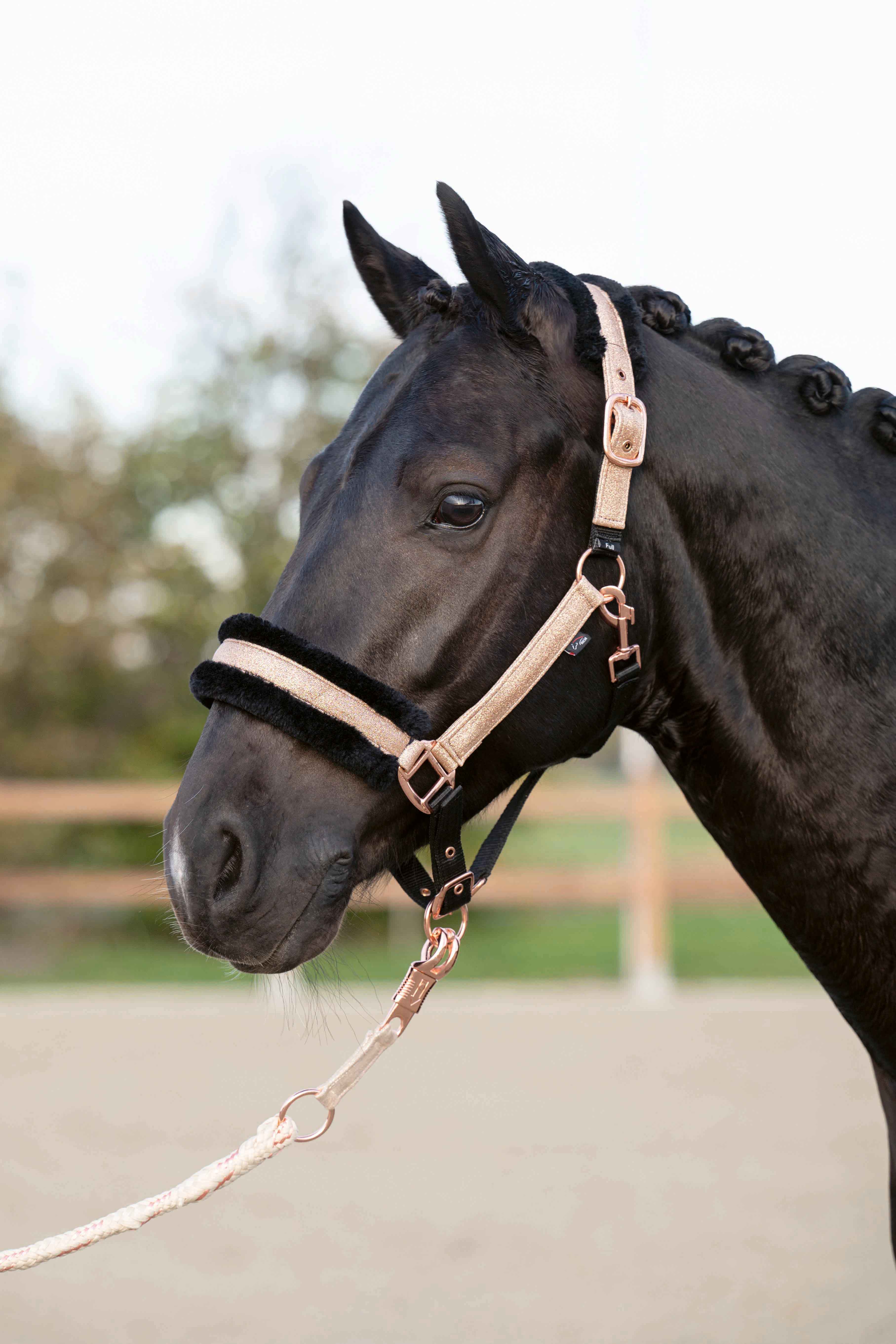 Head collar Rosegold Glitter Style 1538 rose-gold / Pony