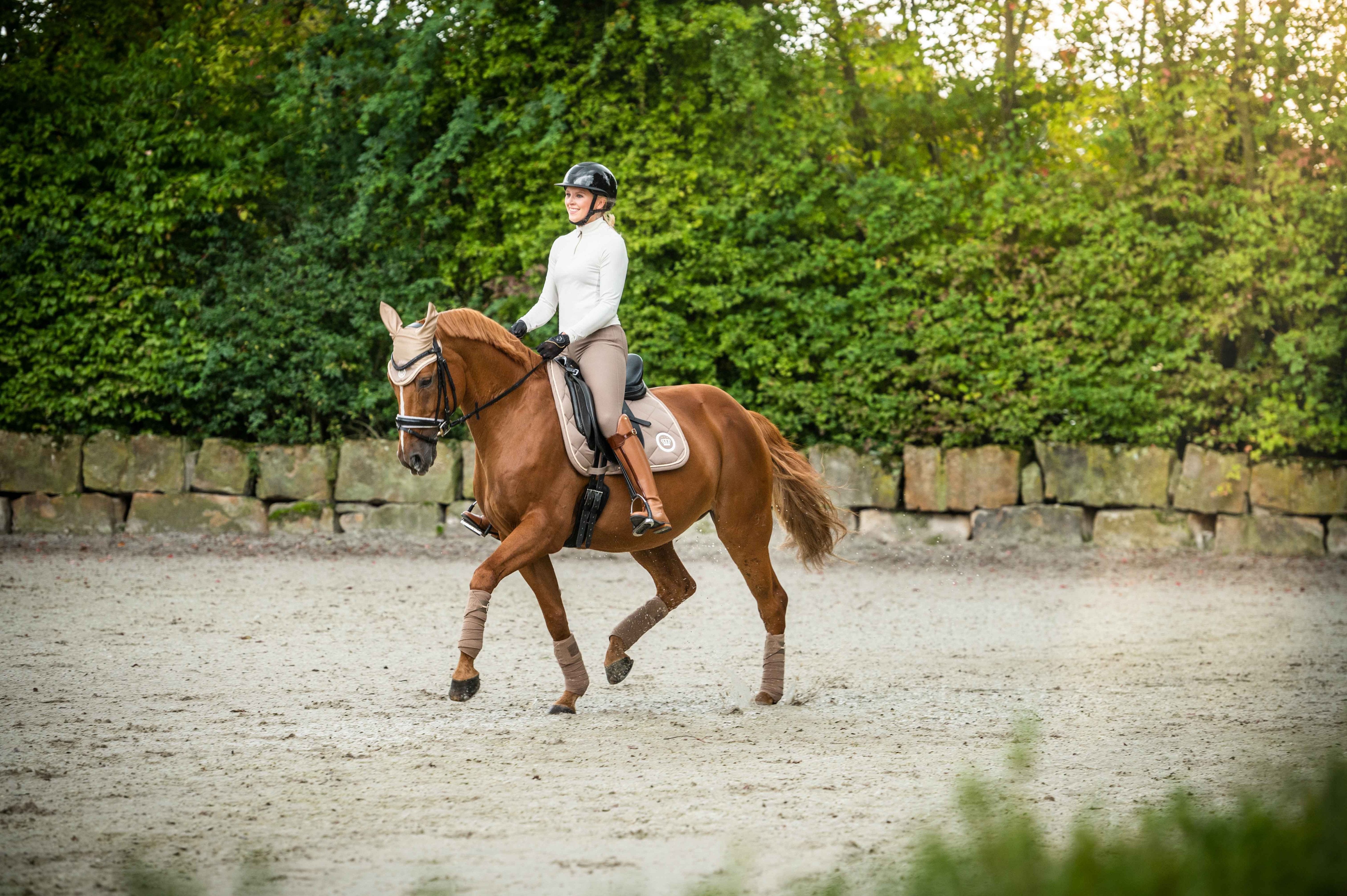 Bandages Lavender Bay 2900 taupe / 200 cm