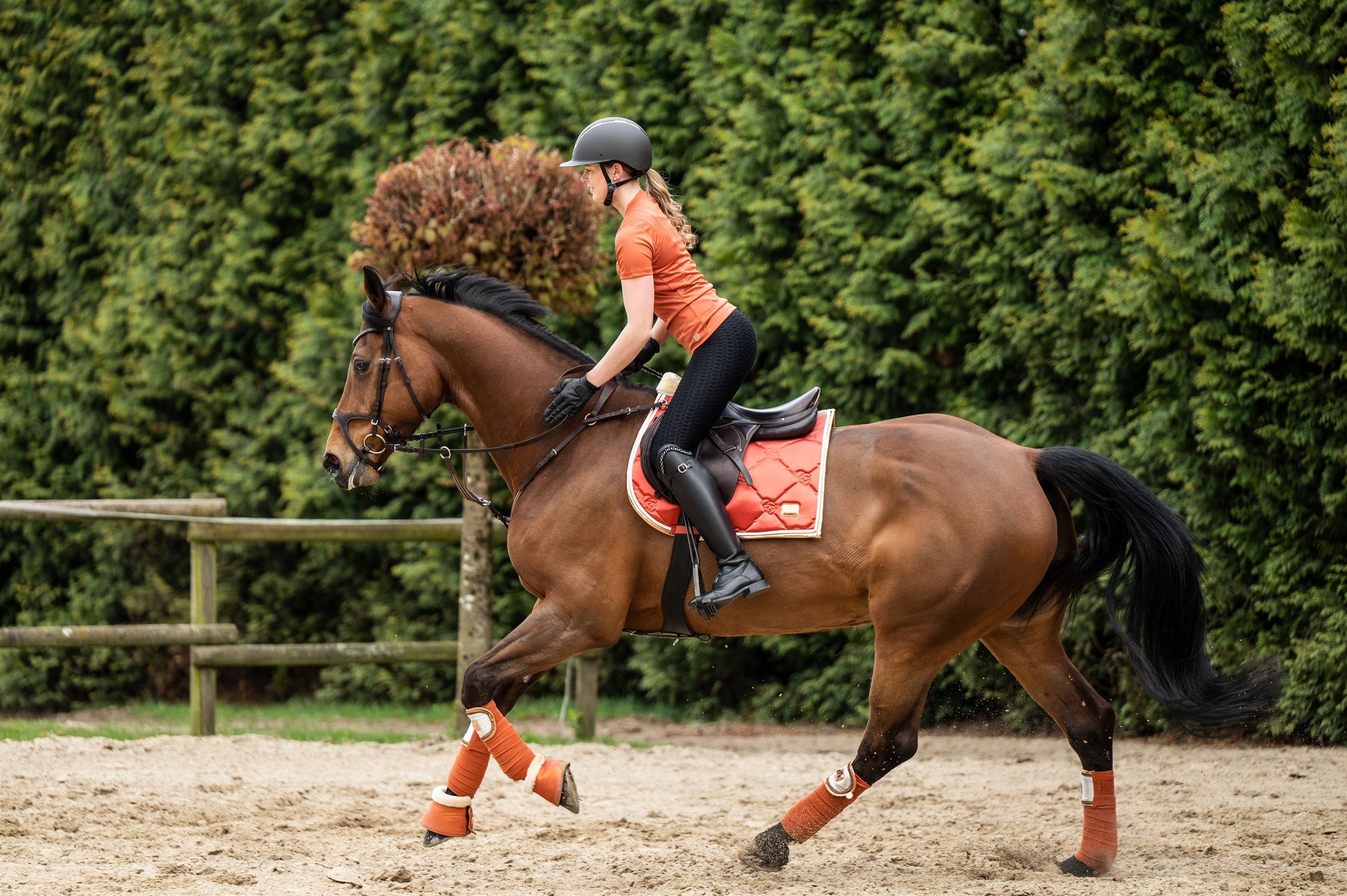 Bandages -Edinburgh- 1000 brandy / 200 cm