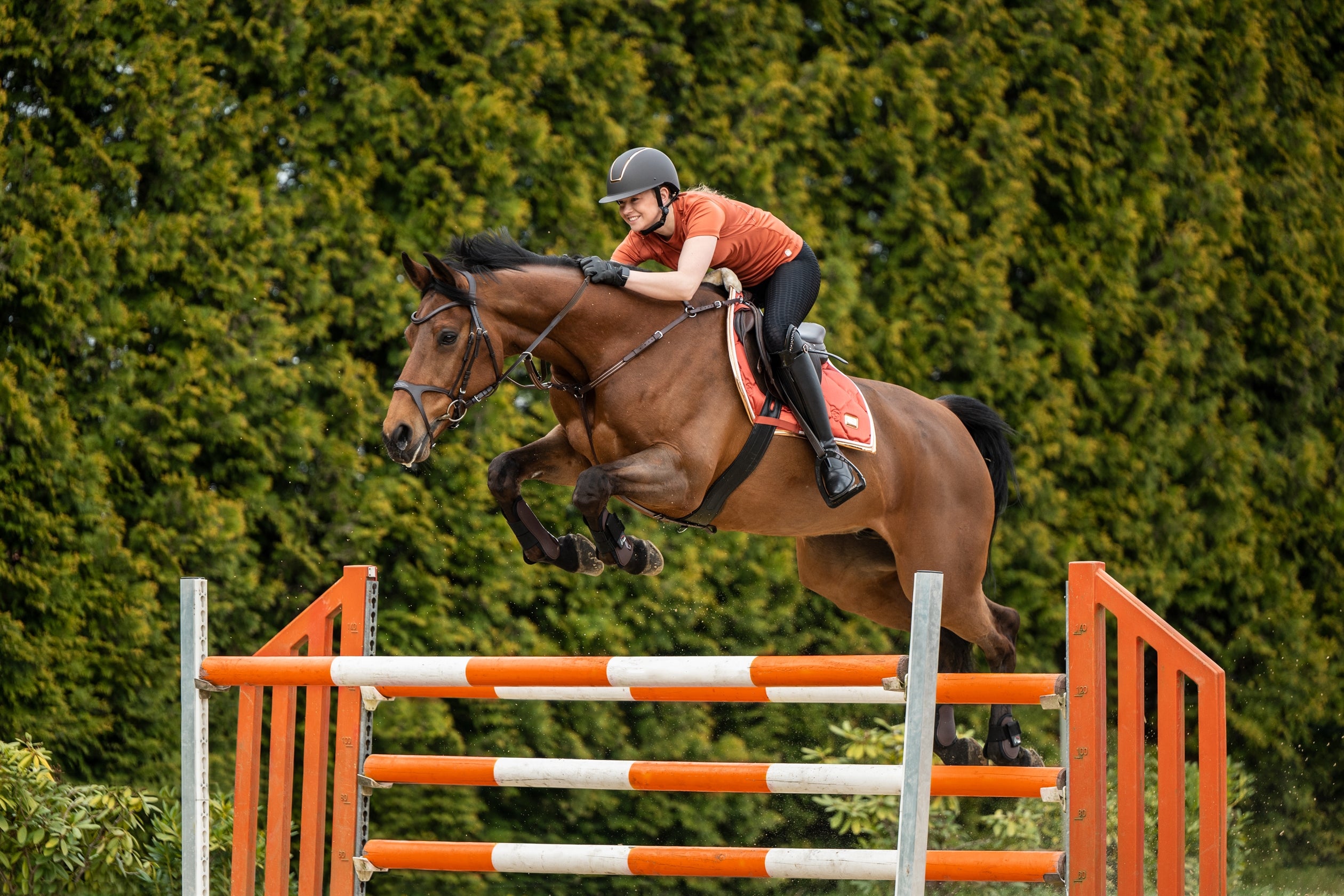 Saddle cloth Edinburgh 1000 brandy / General purpose