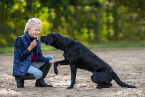 Riding vest Bria 6900 deep blue / EU134 -140/age 7-9