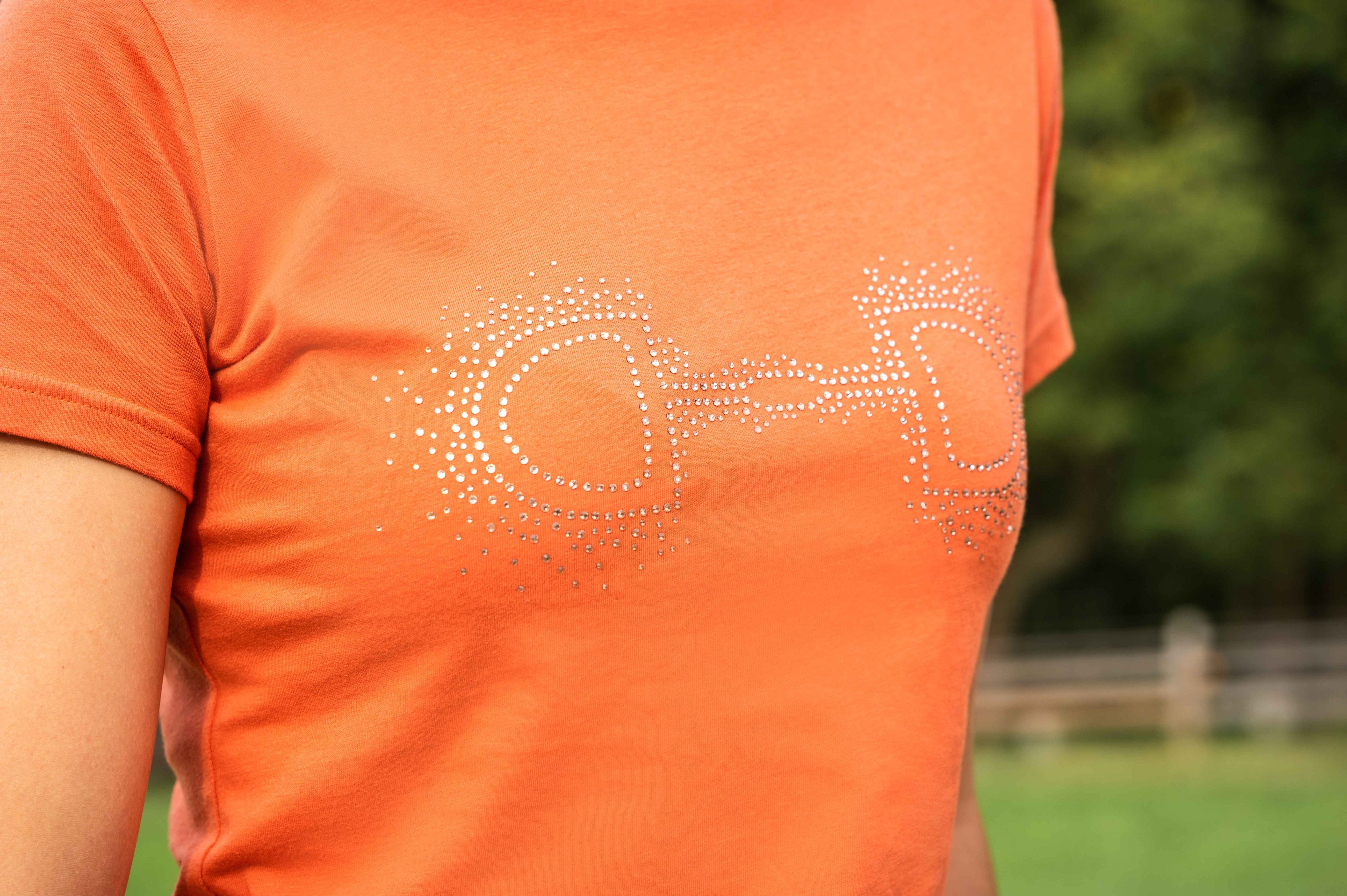 Tshirt Edinburgh Bit 1000 brandy / L