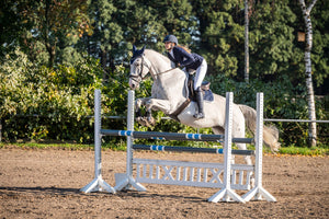 Saddle cloth -Jumping Competition- 6900 deep blue / Pony GP