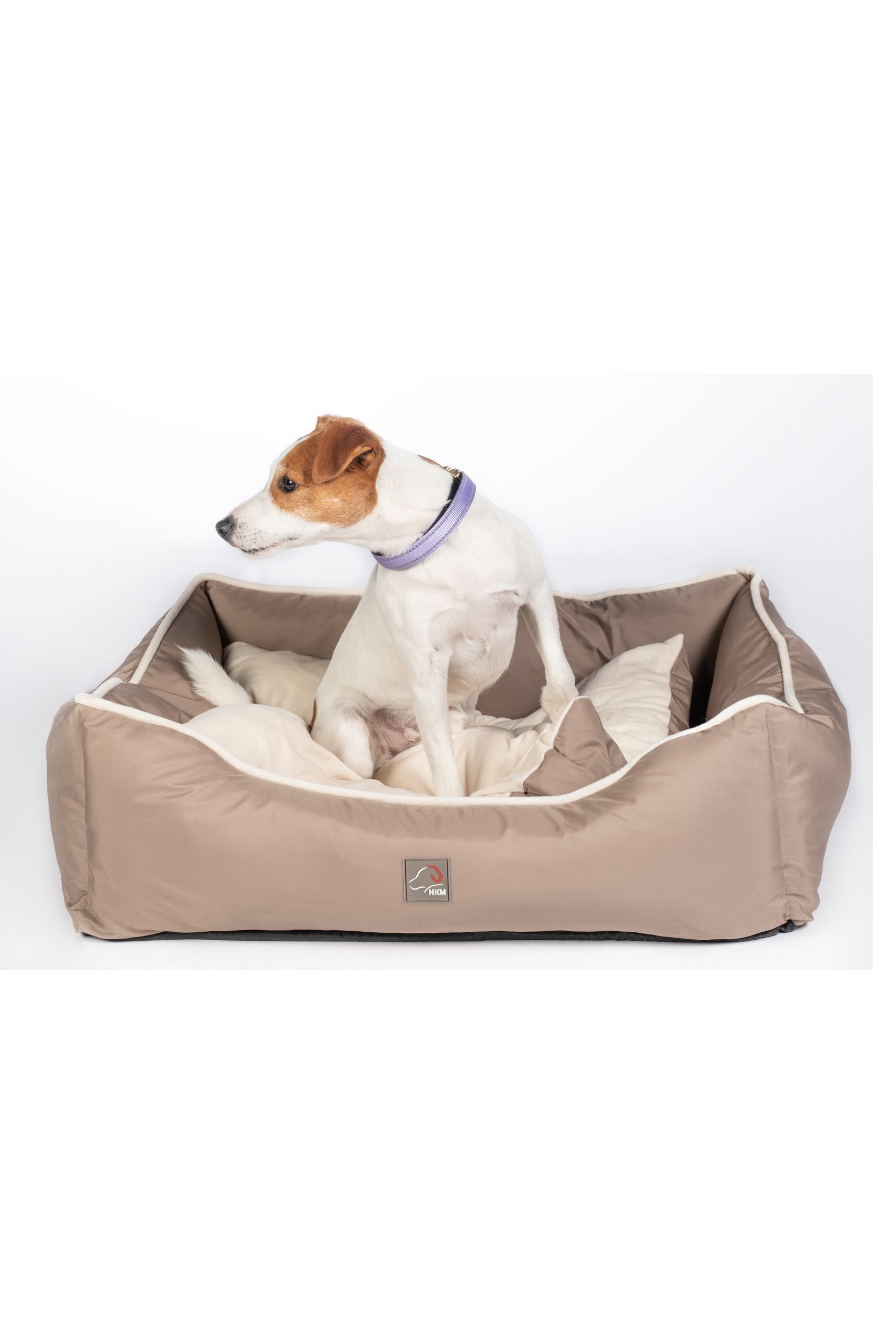 Dog bed -Amitye- 2900 taupe / M