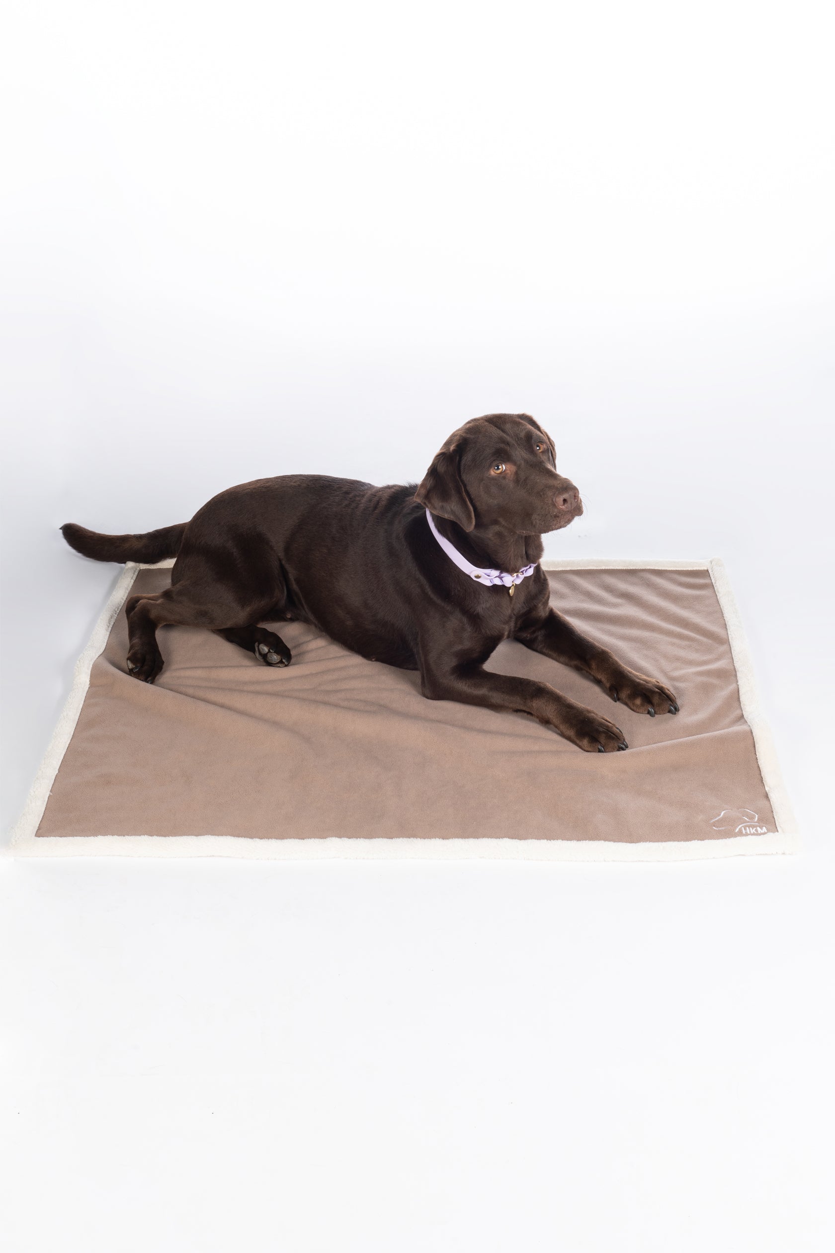 Dog reversible blanket -Lilly- 2900 taupe / M